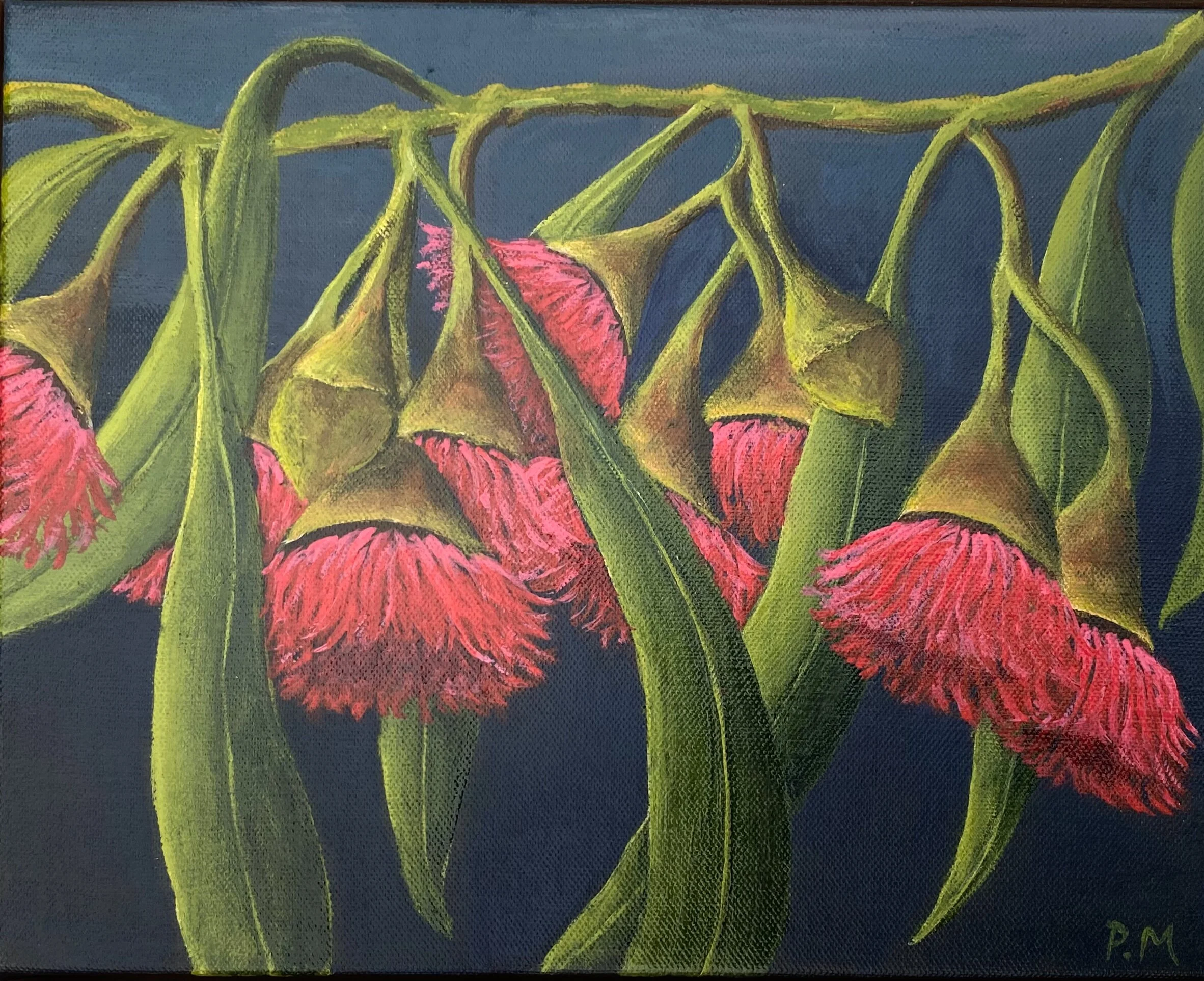 Edna Eucalyptus - 20x25cm Acrylic on Canvas