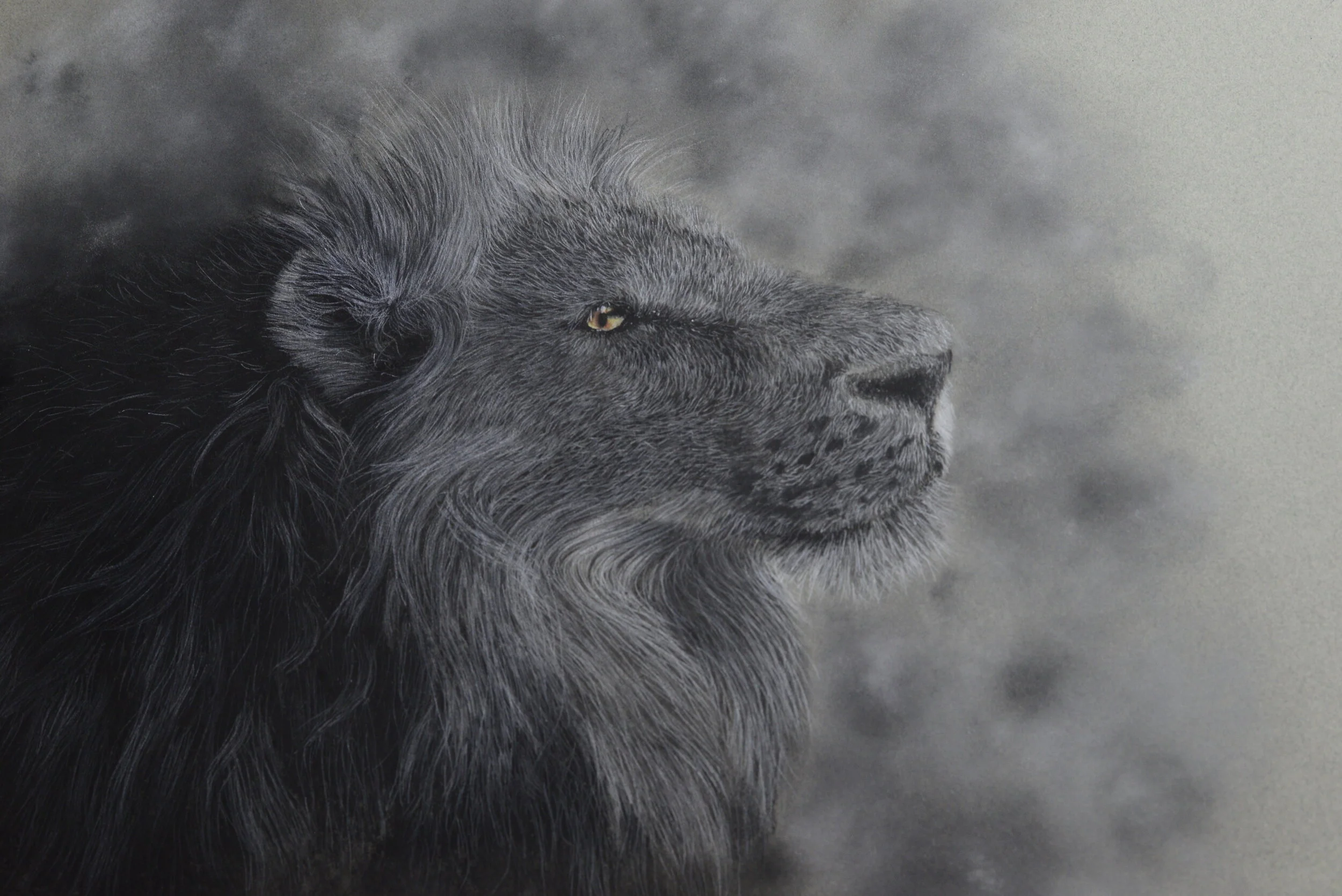 Black and white drawing of a lion with focus on the head and mane, set against a blurred background.