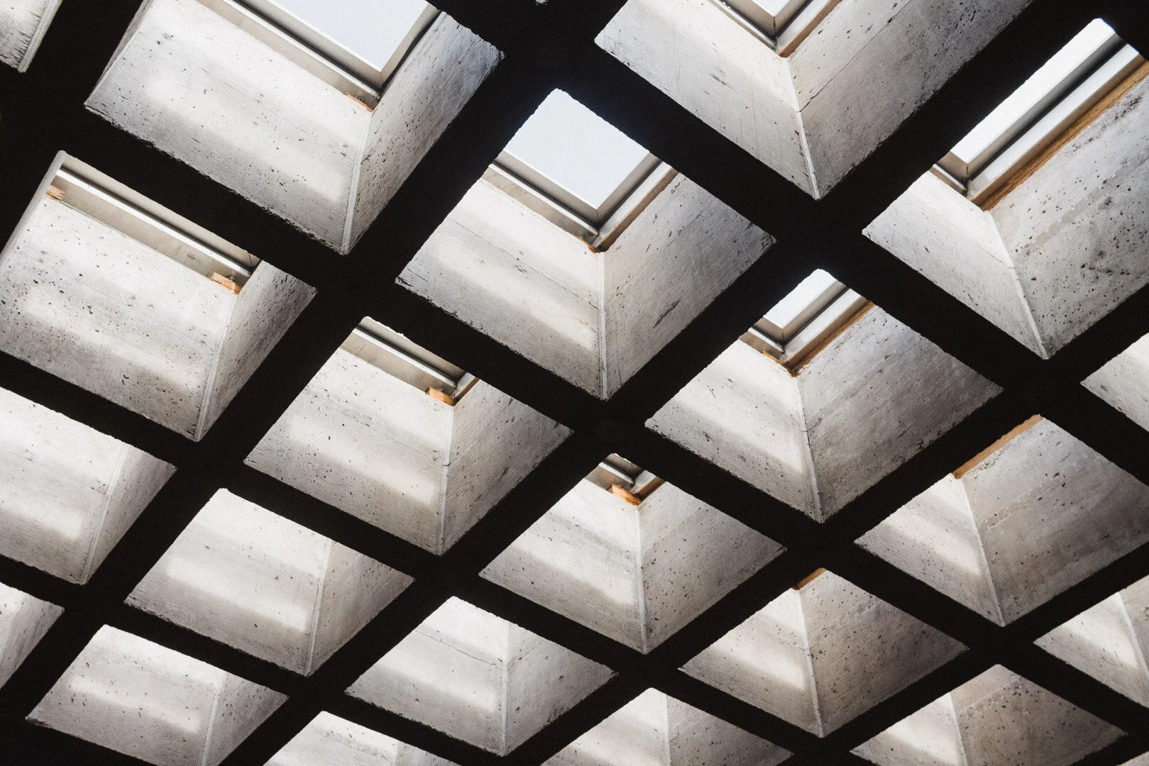 IMG_8252 8.59.38 PM.jpg