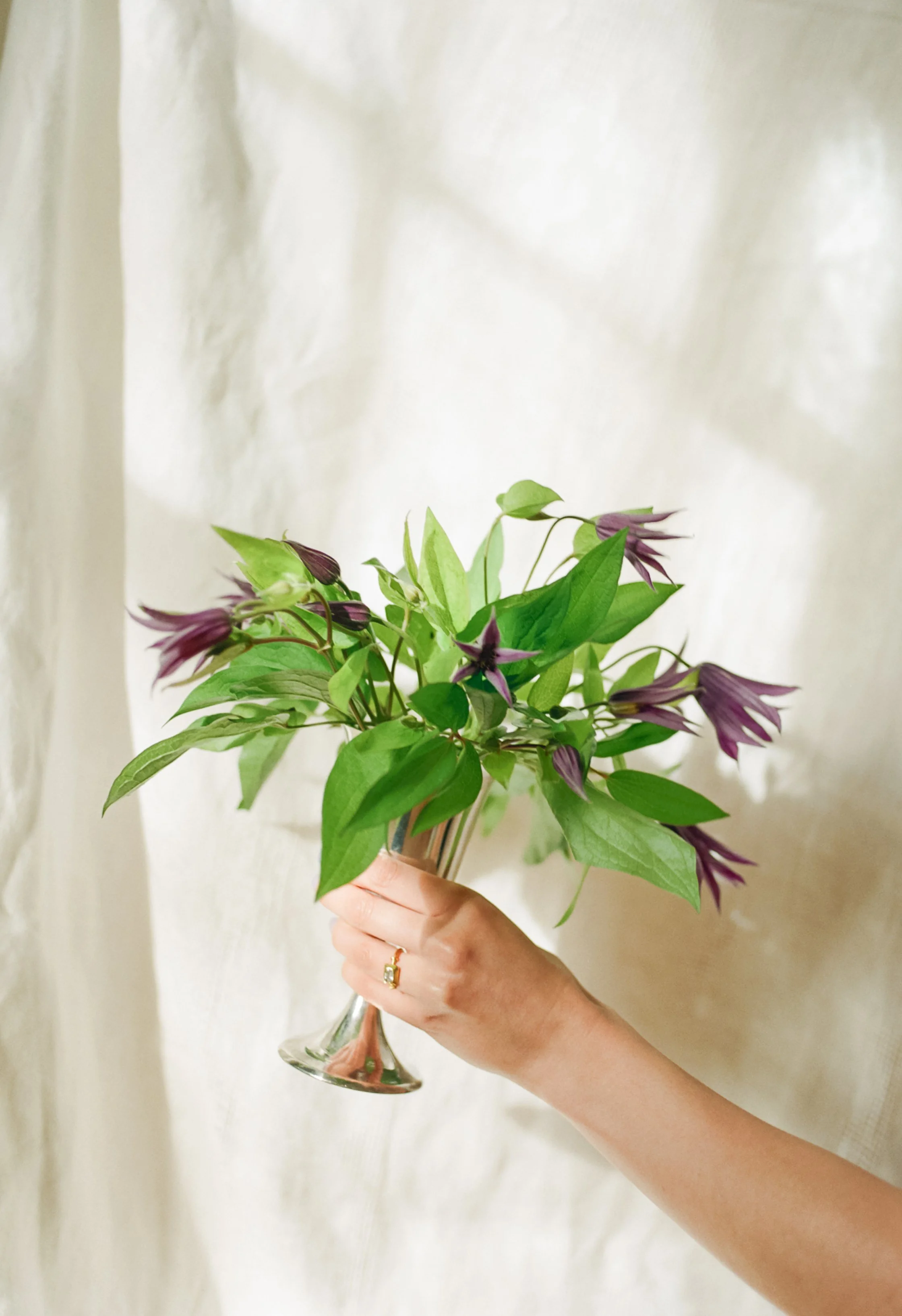 Small arrangement by Hattie McLean with clematis in small silver vase