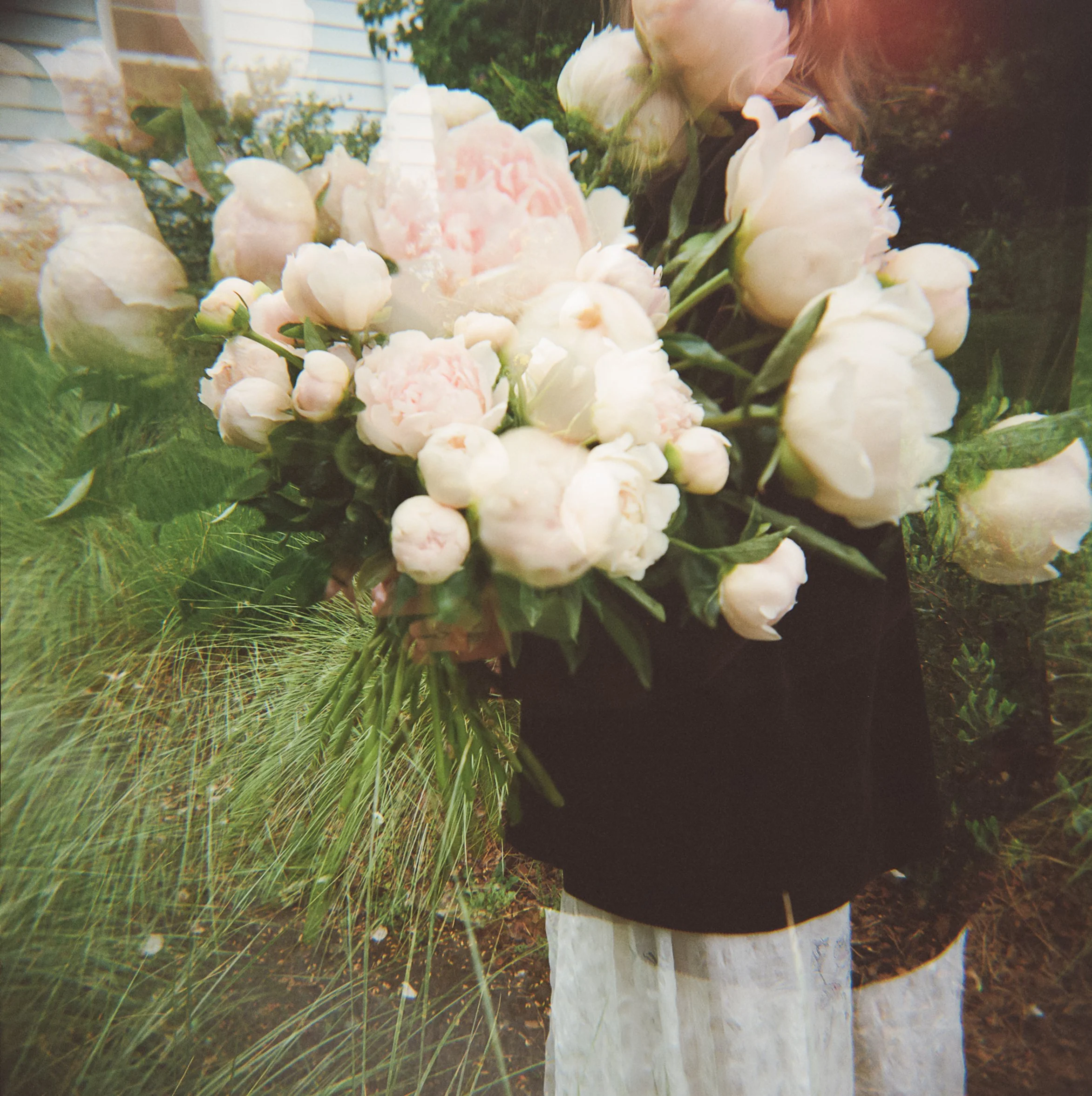 Pink peonies
