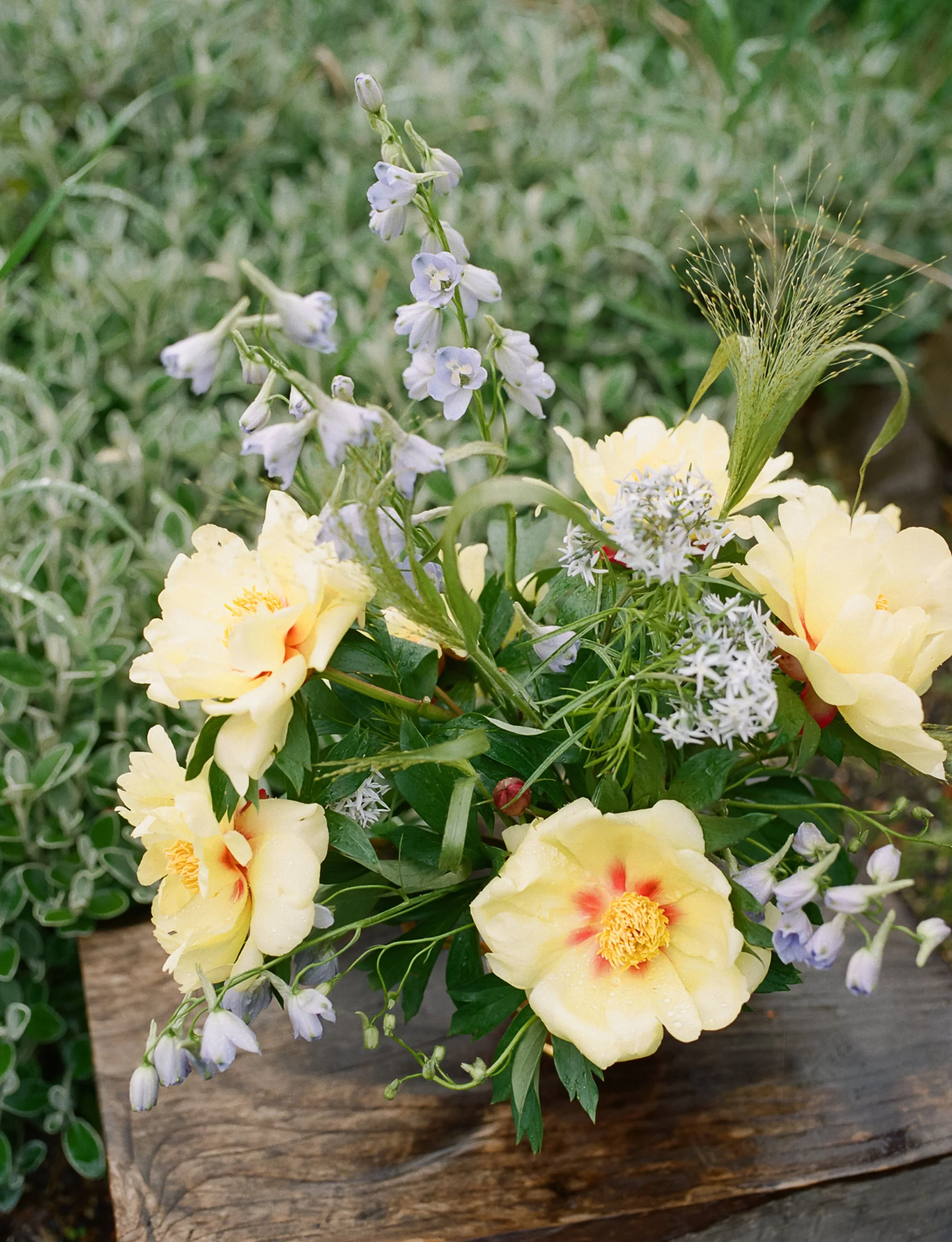 Hattie_Florals_Spring2026_HollyHursleyPhoto_Film-31 1.jpg