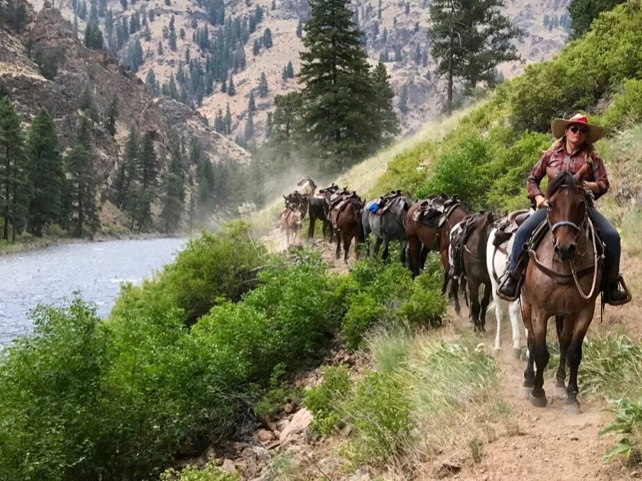 GUIDE REAL TALK: OFF-SEASON HEALTH