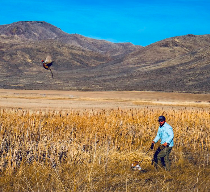 Screen Shot 2021-01-21 at 6.37.01 PM.png