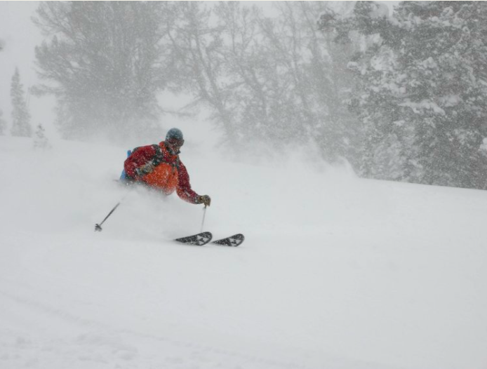 Screen Shot 2021-01-21 at 9.11.04 PM.png