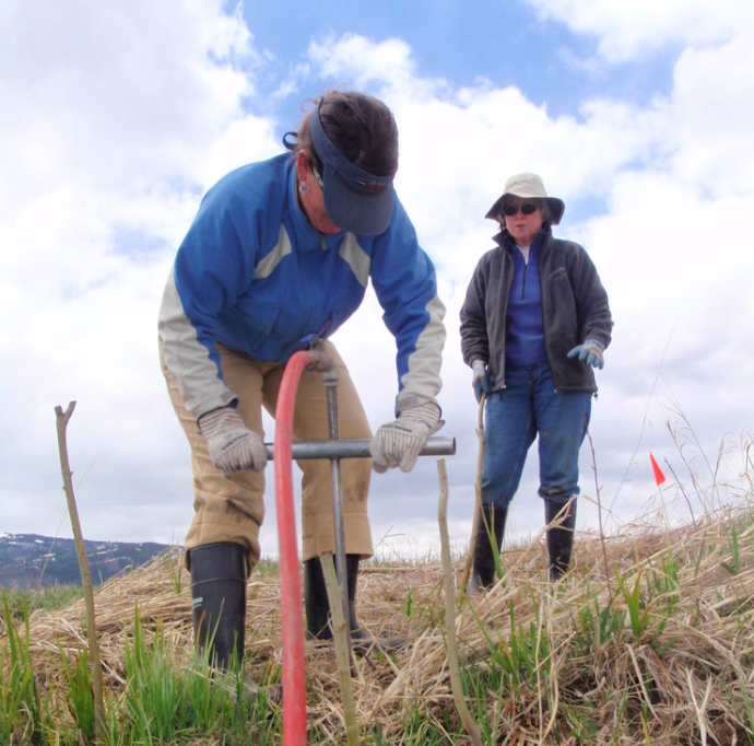 Screen Shot 2021-01-21 at 9.48.35 PM.png