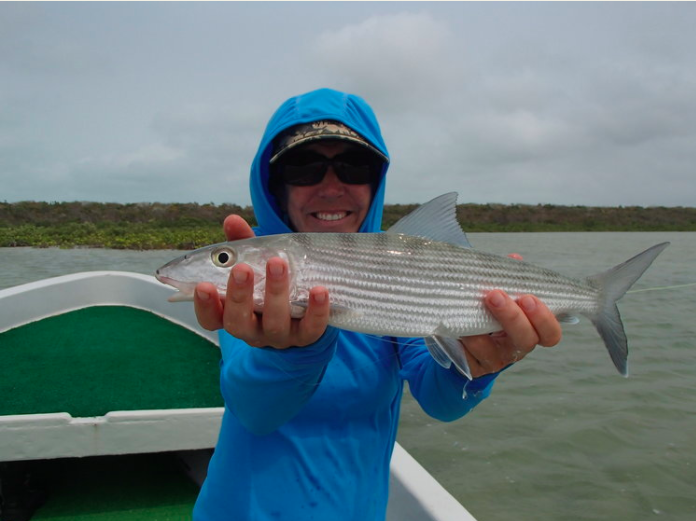 Screen Shot 2021-01-21 at 9.48.01 PM.png