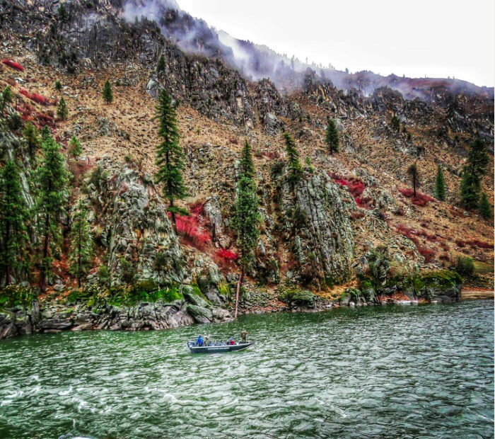 Screen Shot 2021-01-21 at 10.11.01 PM.png