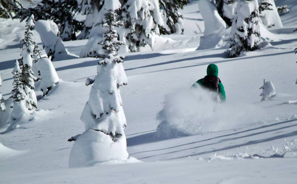 Photo: Tanner Haskins