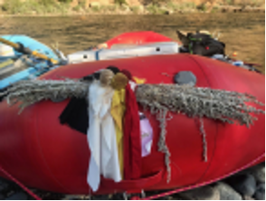 Returning ‘Home’.