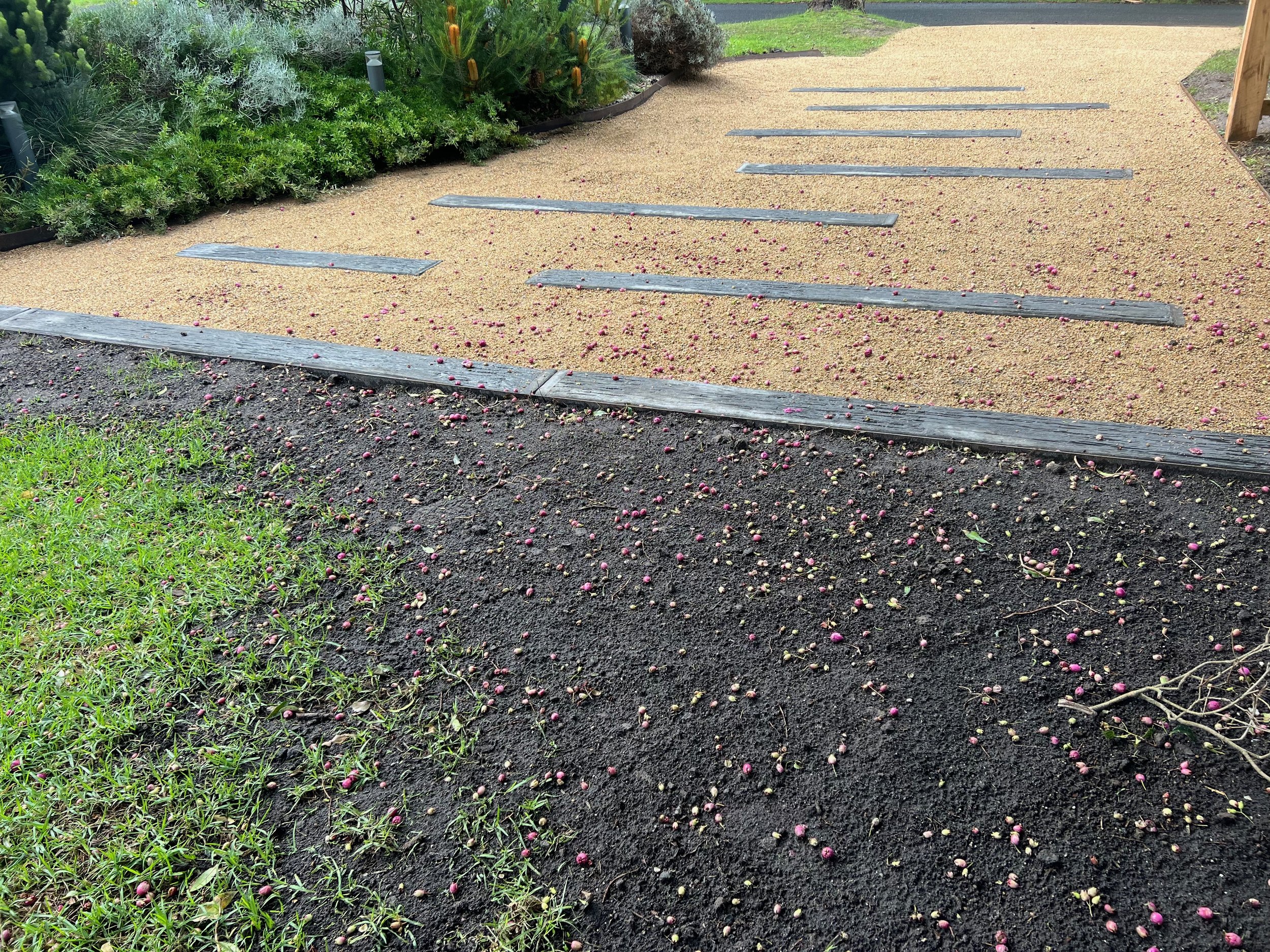 2026 - New Driveway