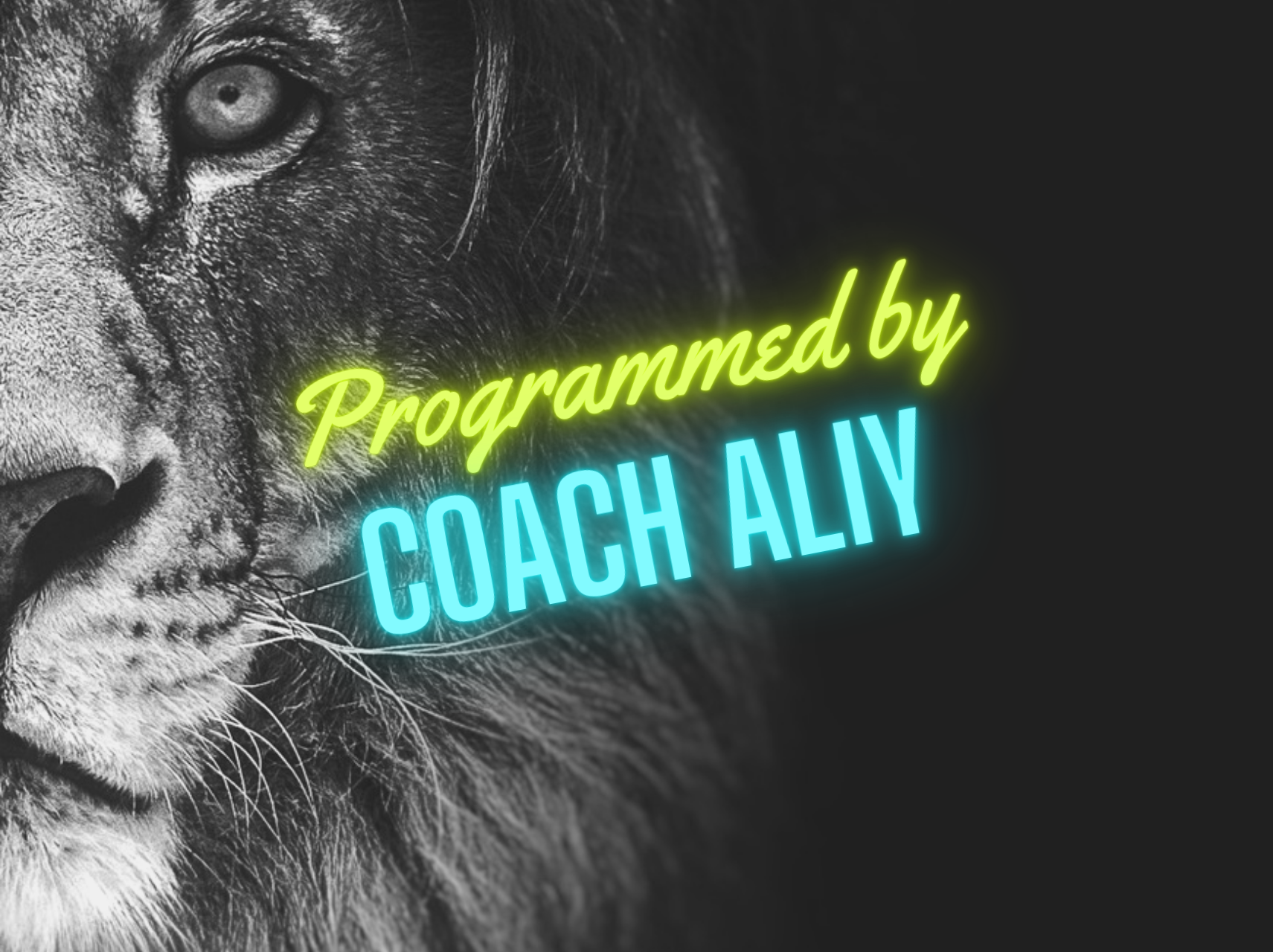 Coach Aliy's Week of Programming