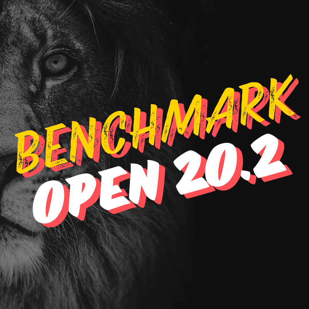 Benchmark: Open 20.2