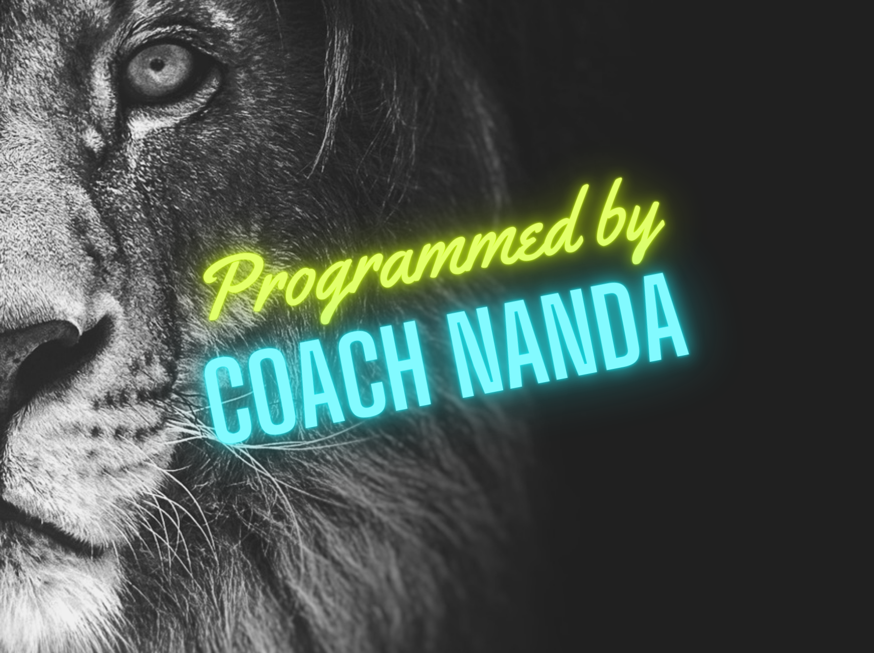 Coach Nanda's Week of Programming