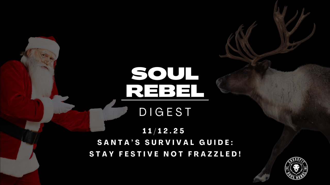 Soul Rebel Digest Vol 11/12.25