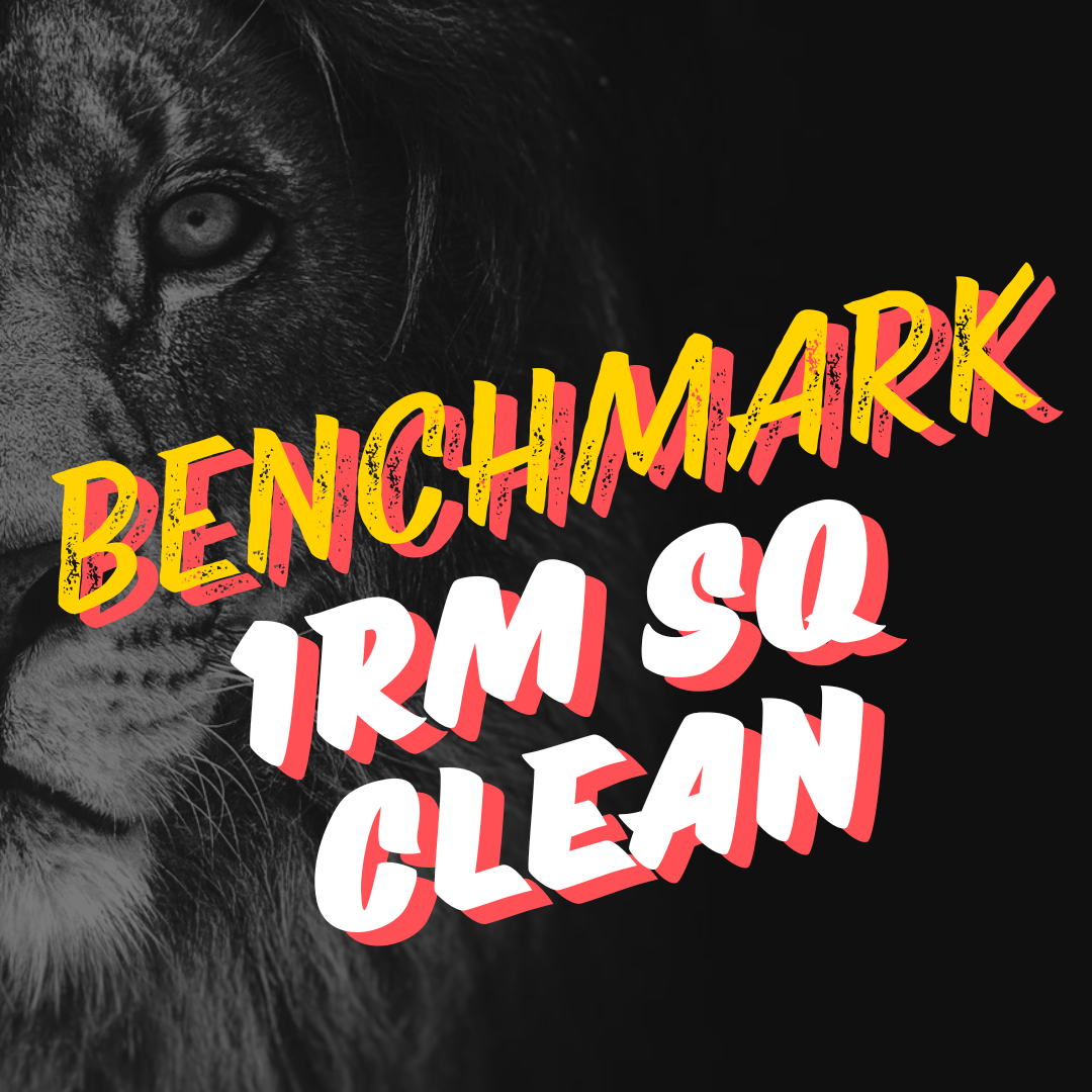 Benchmark: 1RM Squat Clean
