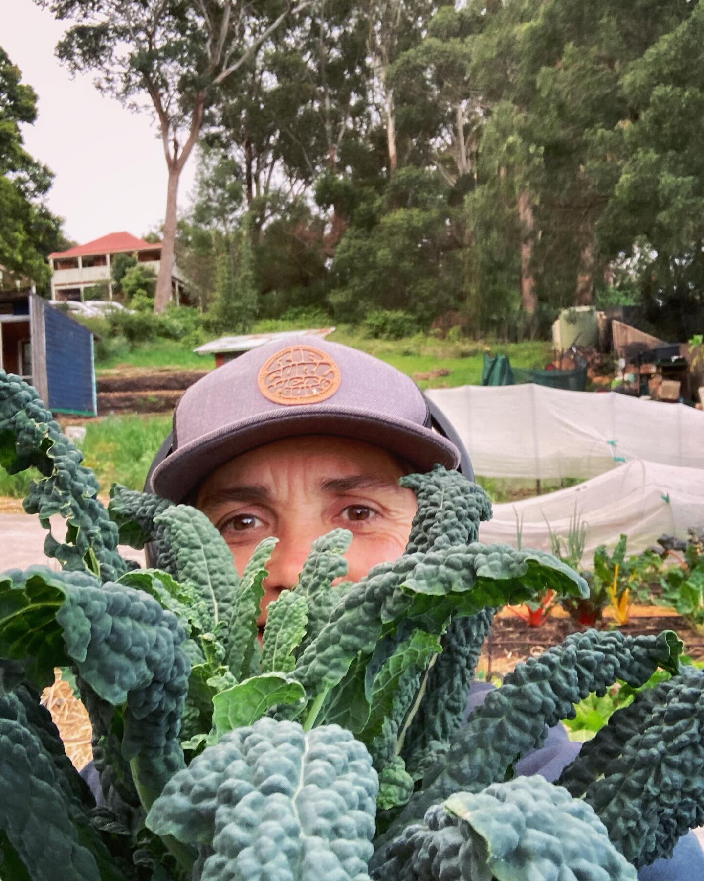 Last night I dreamt of Tuscan kale &hellip;&hellip;no word of a lie

Maybe it&rsquo;s reflecting on 9 years of urban market gardening - a place where there are very few conversations with other growers locally, because they rarely exist. Oh yeah &amp