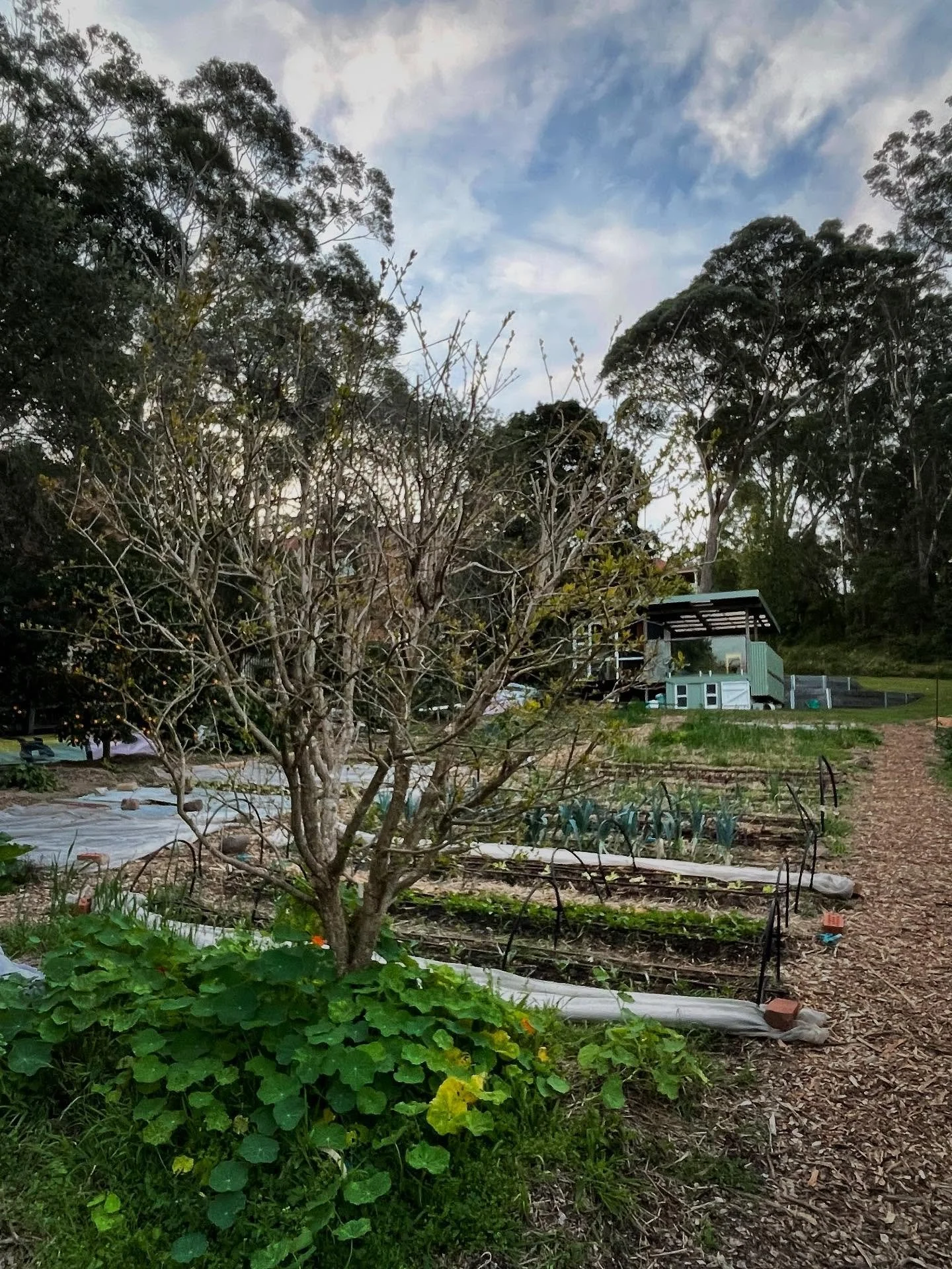 Gardens are sloooooowwwww work.

This side of the market garden is an easy 7 years in the making &amp; all built by hand!

Save yourself some time &amp; pop in to our Tour &amp; Tea next Saturday 13 September from 10-11.30am. We cruise around this su