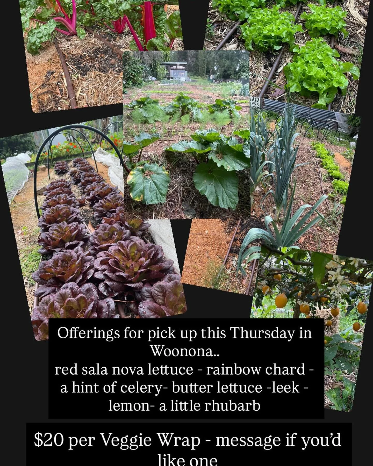 News just in&hellip;..

A truely lovely friend of Popes Produce just sent me a message &amp; would like to pay it forward (the joy of fresh food) &amp; has purchased 5 Veggie Wraps to go to people who could really do with a taste of fresh veg.

Respe