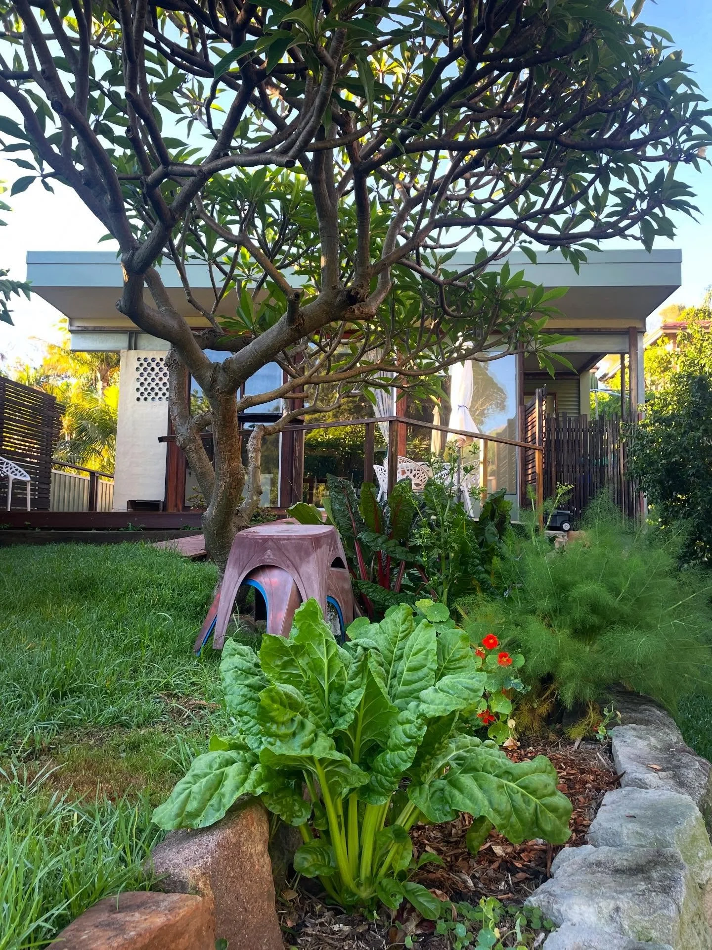 You don&rsquo;t really need loads of space to grow. Just a few minutes a day, the occasional sprinkle of compost &amp; a few seedlings.

It can be about the simple things like observing seasonal change.

Or the really little things like seeing if you