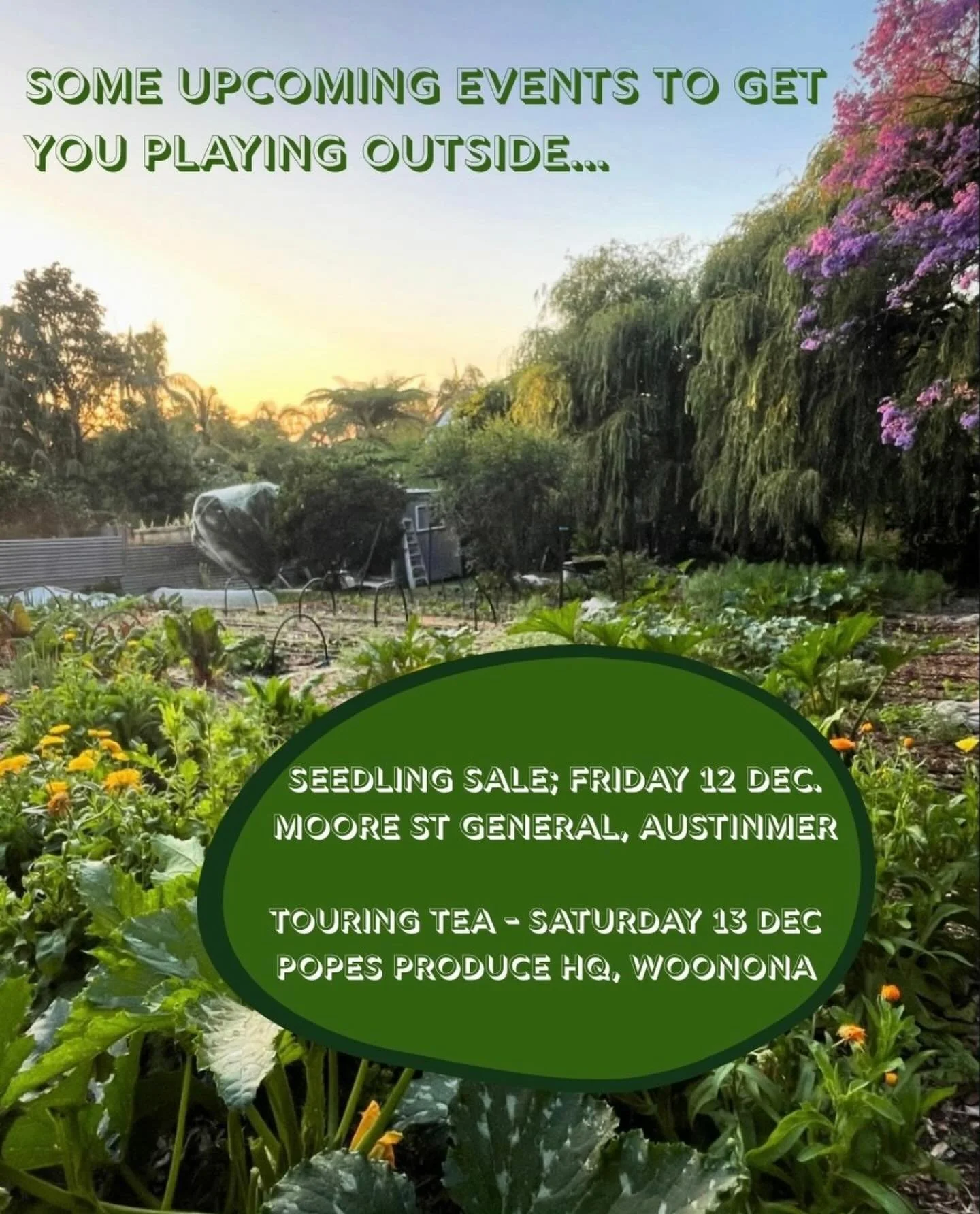 Time to park busy at the door &amp; make space to play.

We&rsquo;ll be stocked up with potential lunches at Moore St General Cafe between 9-12 on Fri 12 Dec and for those wanting to know what to do with their new purchases we&rsquo;re hosting a Tour