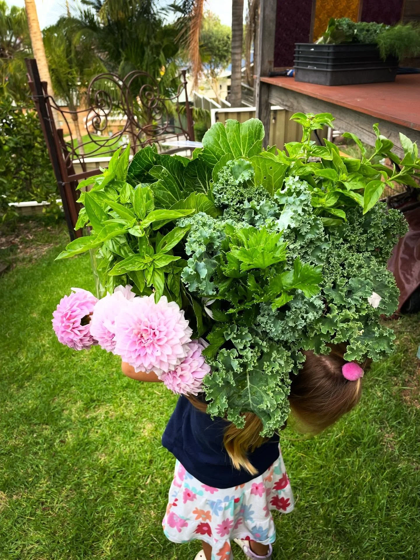 Transition time!

Out of the gardens and onto the plates.

As we shift gears from summer to autumn planting, from doing to reviewing, from working harder we&rsquo;re slowly transitioning to working smarter.

I&rsquo;m falling in love all over again.
