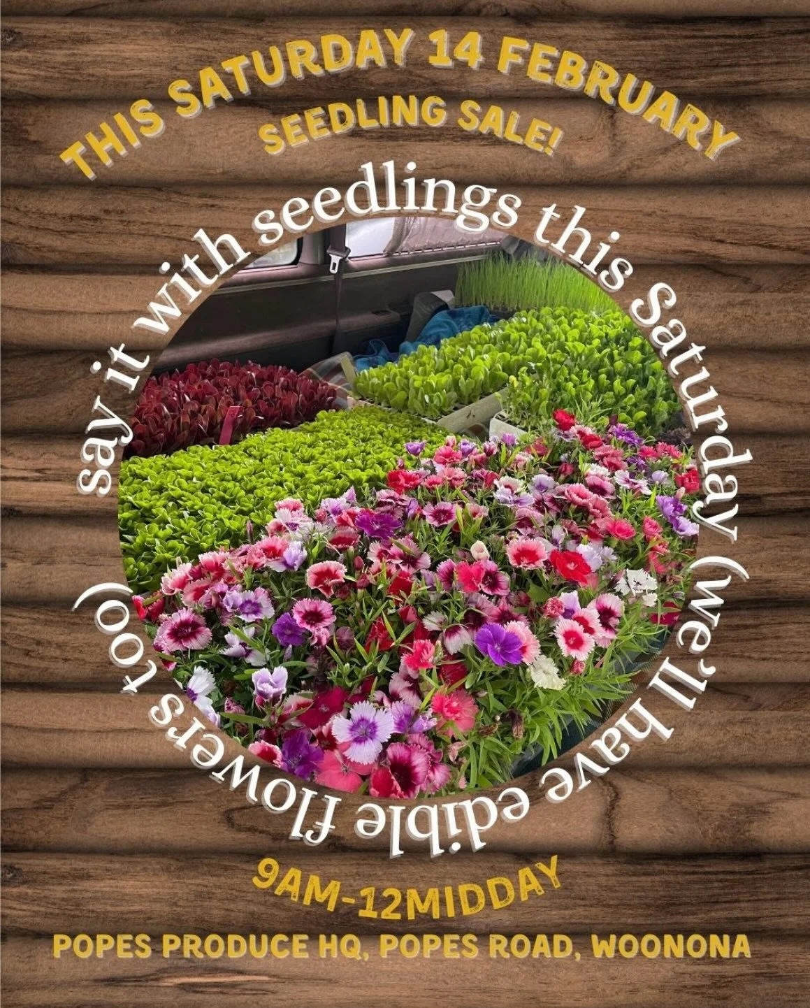 All the goodness!

Always a little time for garden indulgences.

We&rsquo;re hosting our autumn seedling sale (leafy greens, shallots, beetroot&hellip;mostly part shade lovers) as well as posies of edible flowers and edible bouquets.

9am - high noon