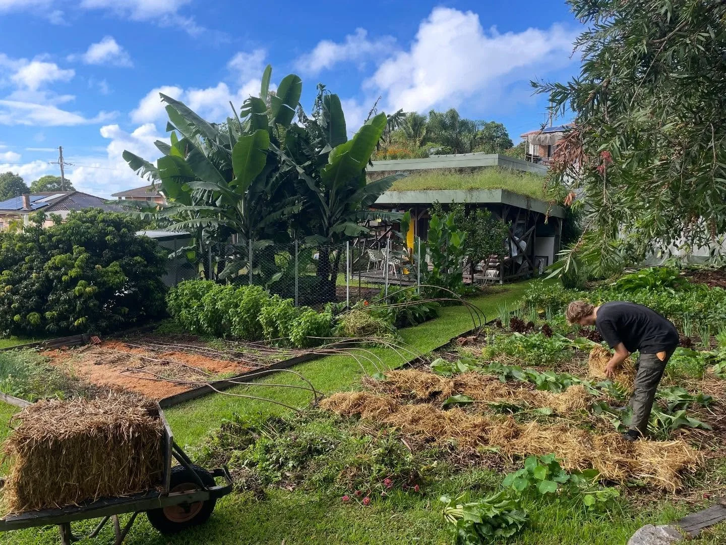 When I 1st started Popes Produce all I wanted to do was grow food for folk. I had absolutely zero idea what was involved in both garden and business.

It&rsquo;s such a trip!

Many of you may have thought I&rsquo;d run away for good after that last p