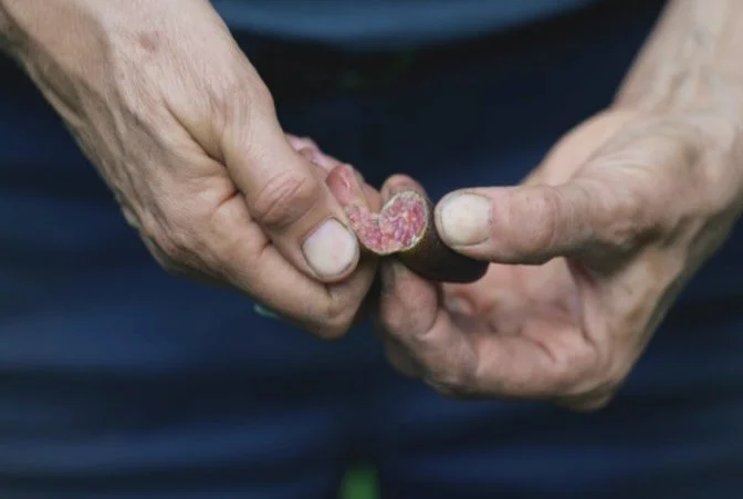 We learn with our hands.
Our fingertips have something ridiculous like 3000 nerve endings. Wild to think about the learning and engagement that happens through touch.
Sticking our hands in soil, planting seed, transplanting seedlings, holding worms s