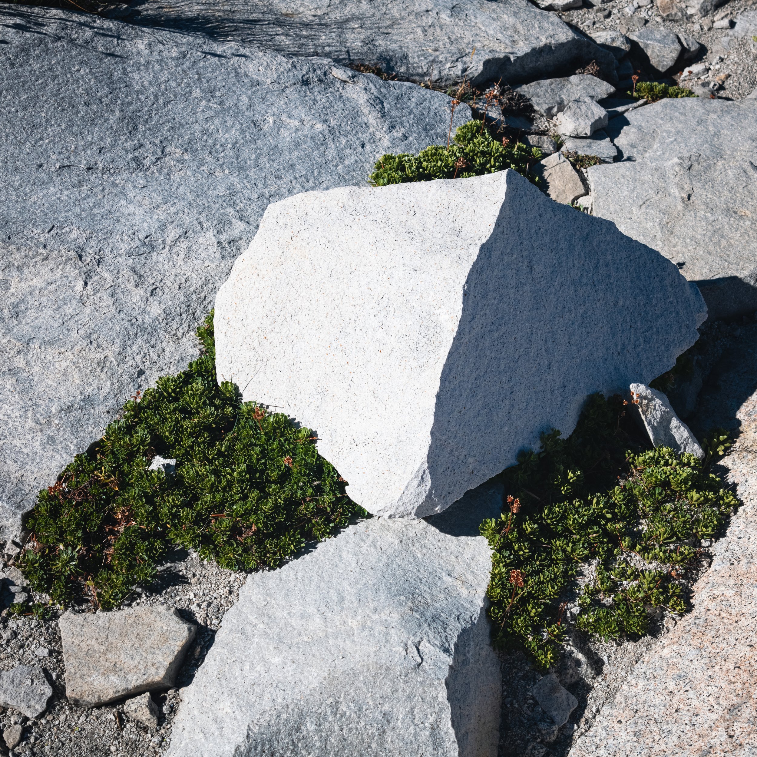 _DSC2083-Enhanced-NR - (EricACS_Pro edit, 1x1, small) copy.jpg