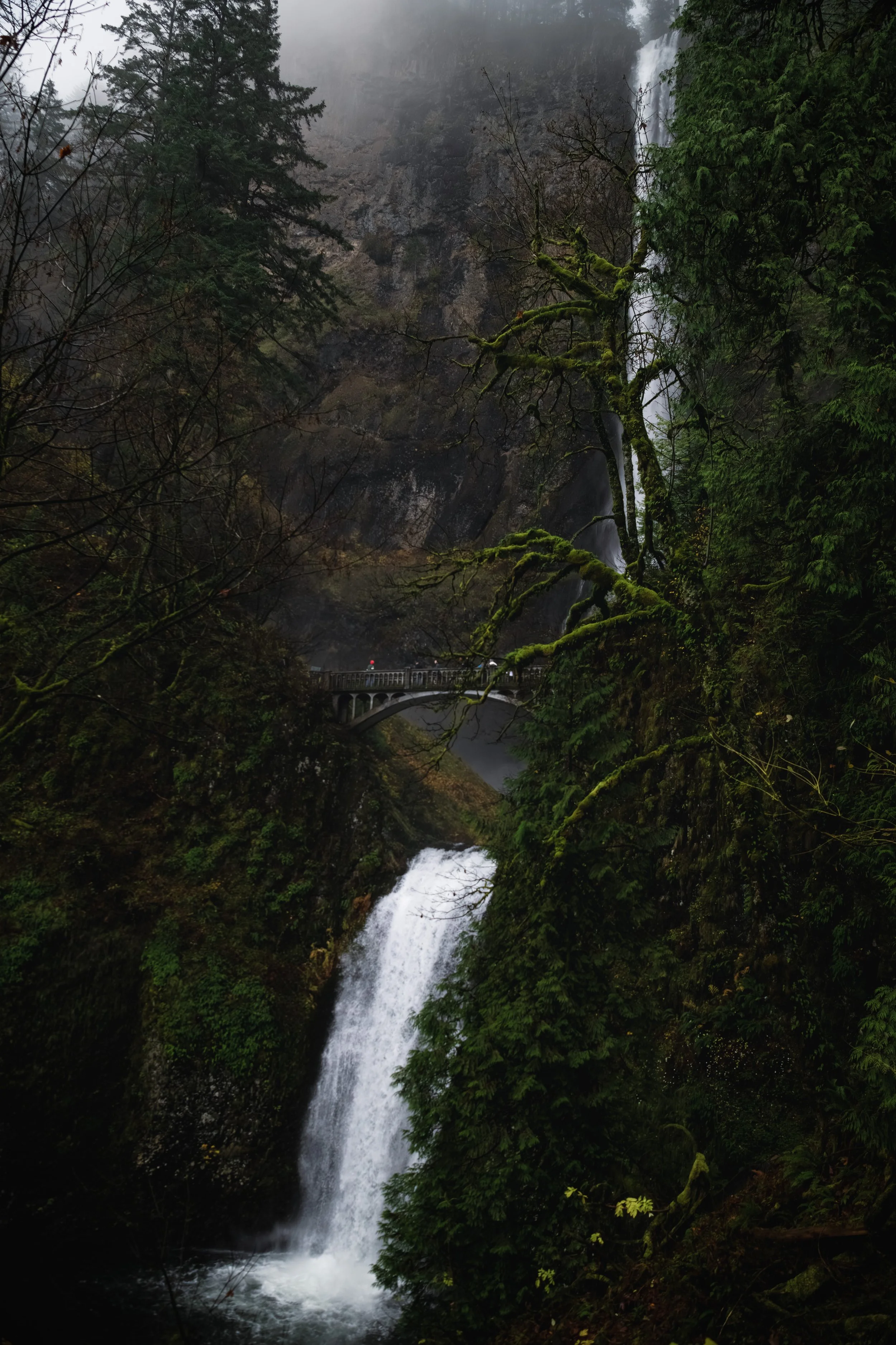 _DSC7700 - (EricACS_Pro edit, small) copy.jpg