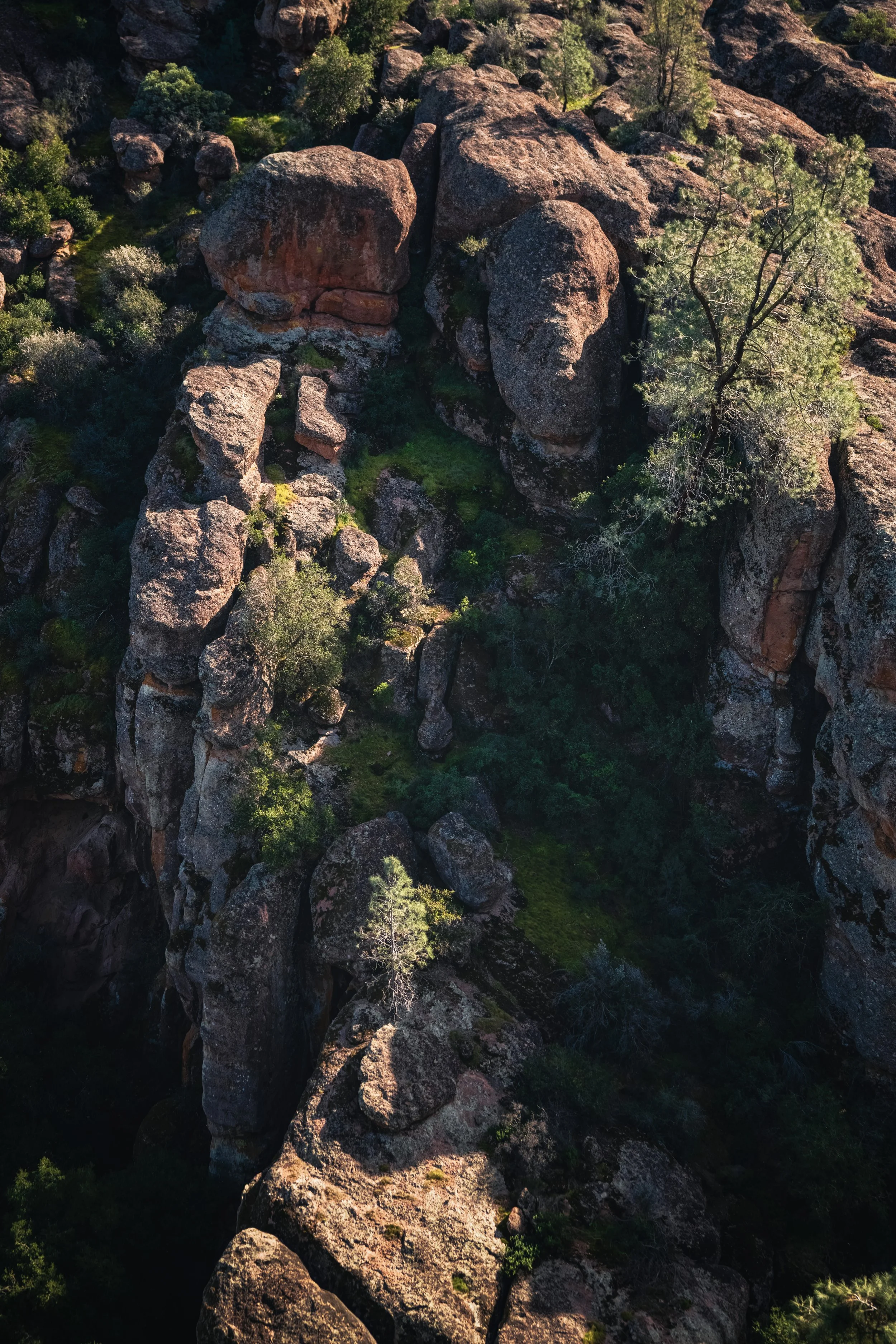 _DSC4824-Enhanced-NR - (EricACS_Pro edit, small) copy.jpg