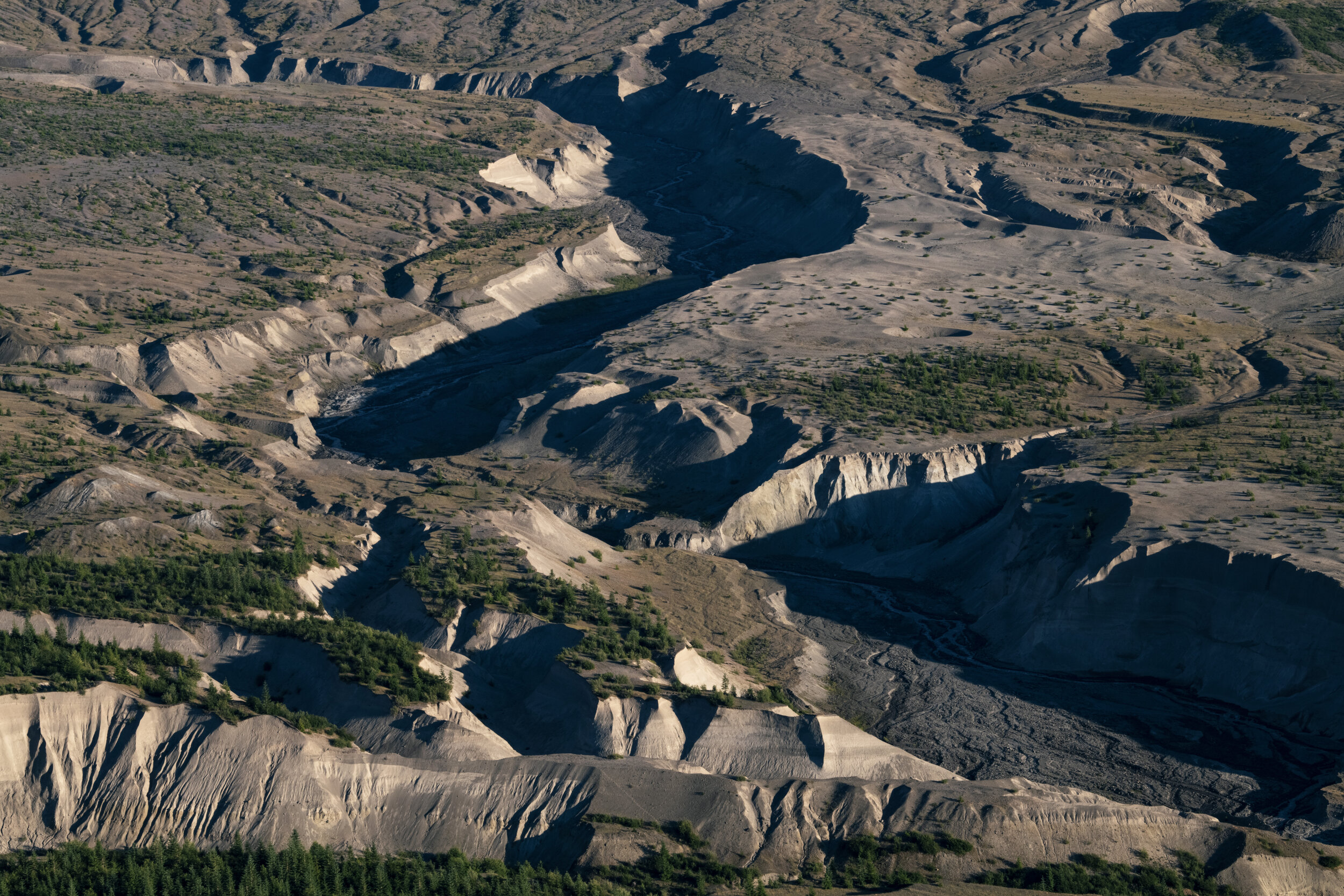 _DSC1528 - (EricACS_Pro edit) - (layer stack, small) copy.jpg