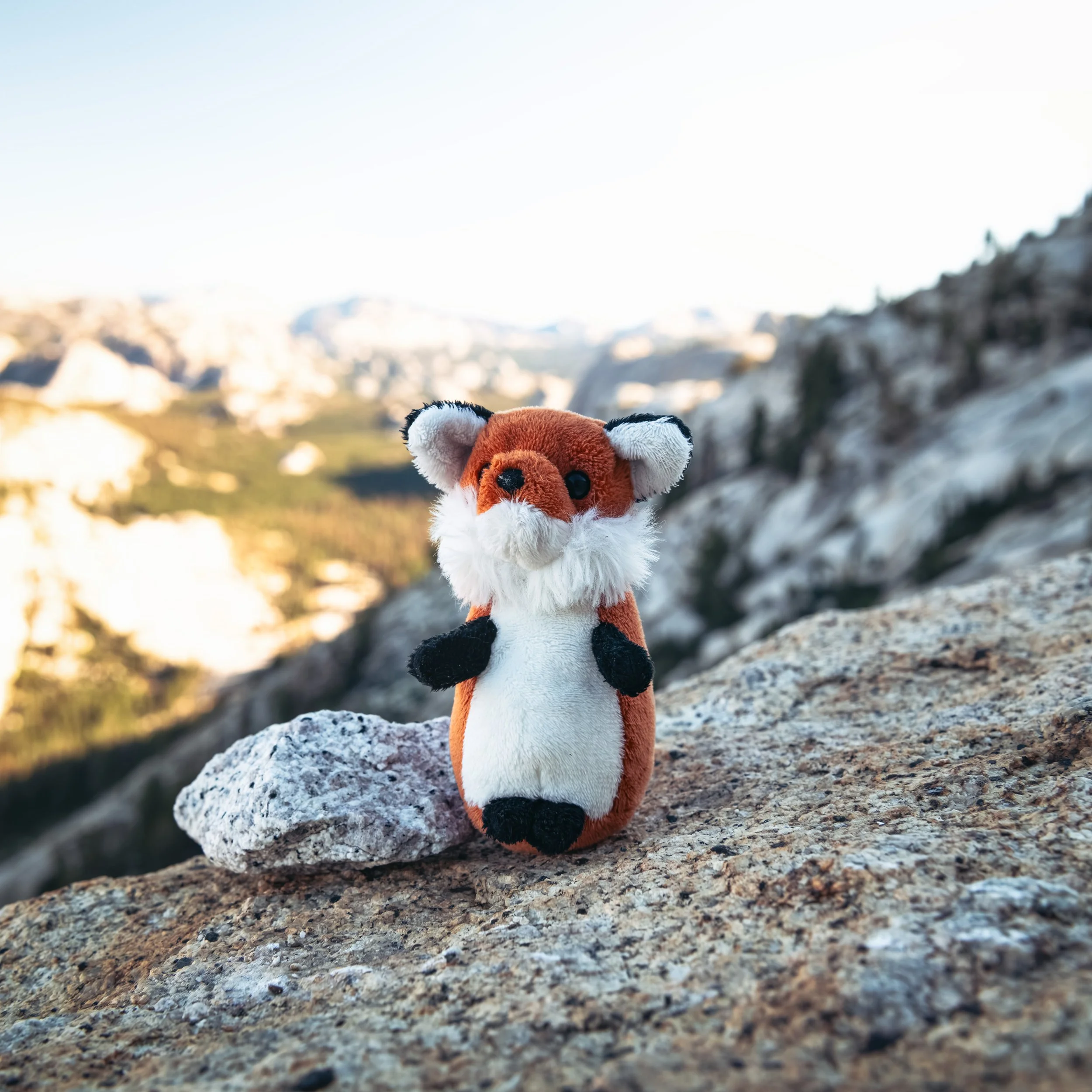 _DSC6393 - (EricACS_Pro edit, 1x1, small) copy.jpg