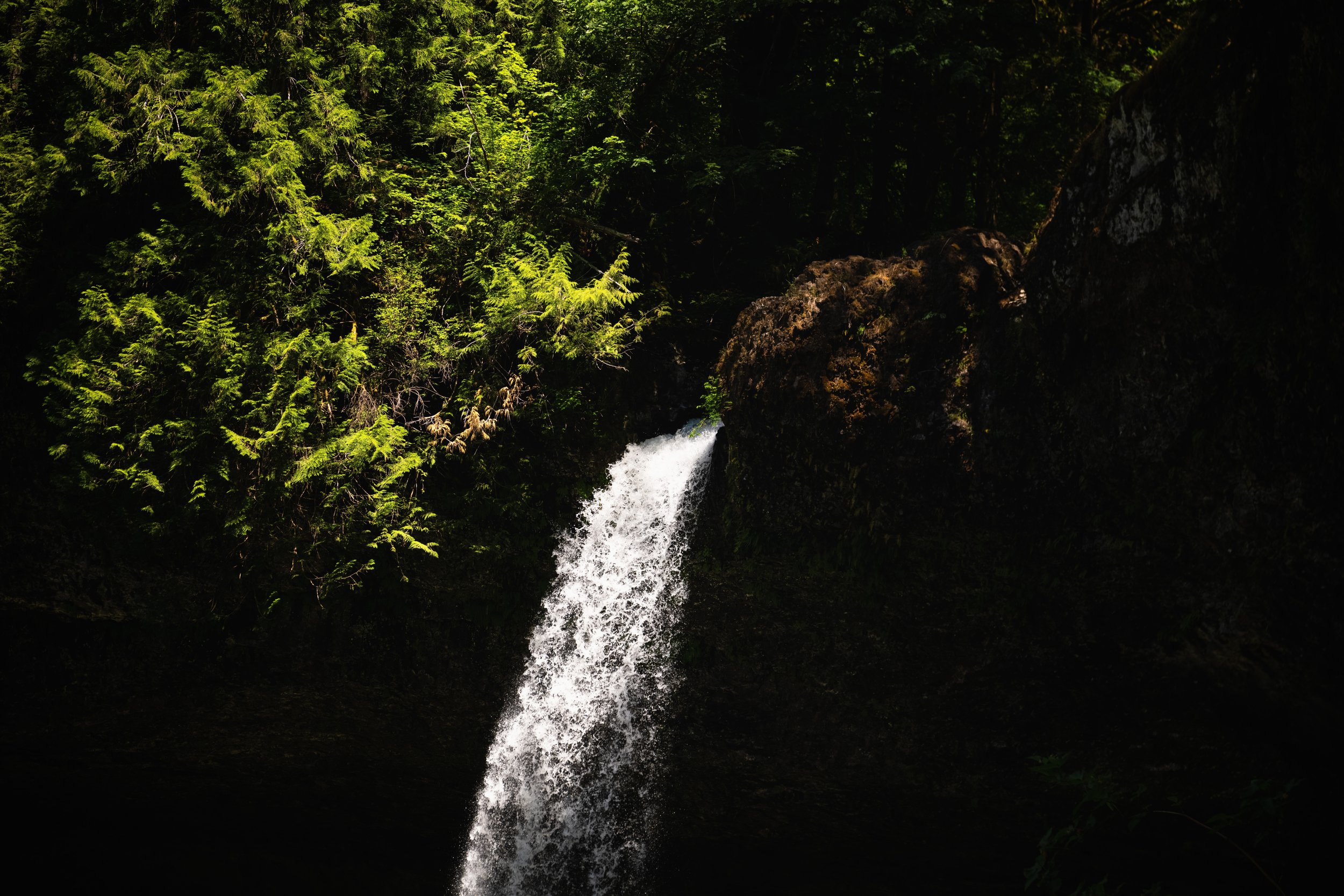 _DSC2720-Enhanced-NR - (EricACS_Pro edit, small) copy.jpg