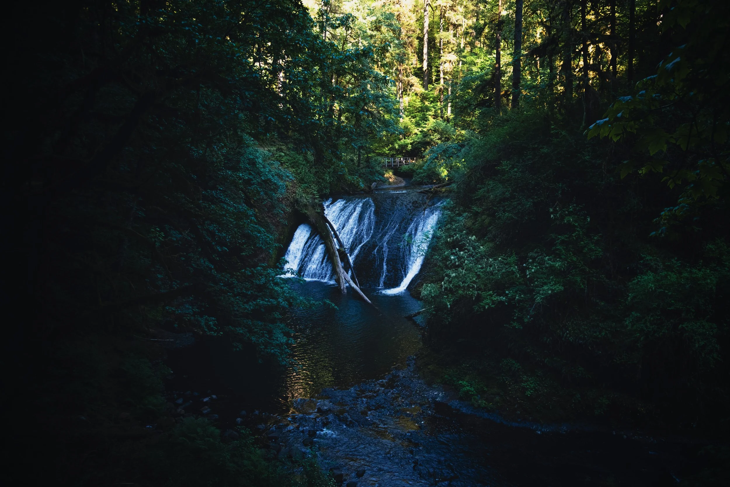 _DSC2898-Enhanced-NR - (EricACS_Pro edit, small) copy.jpg