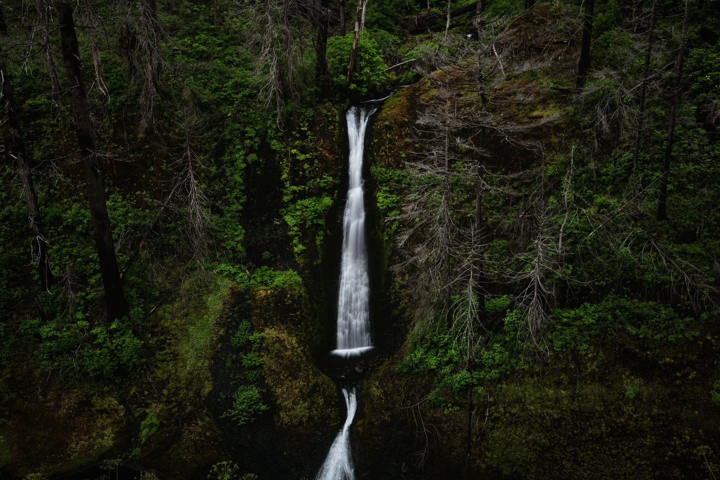 _DSC1717-Enhanced-NR copy, small.jpg