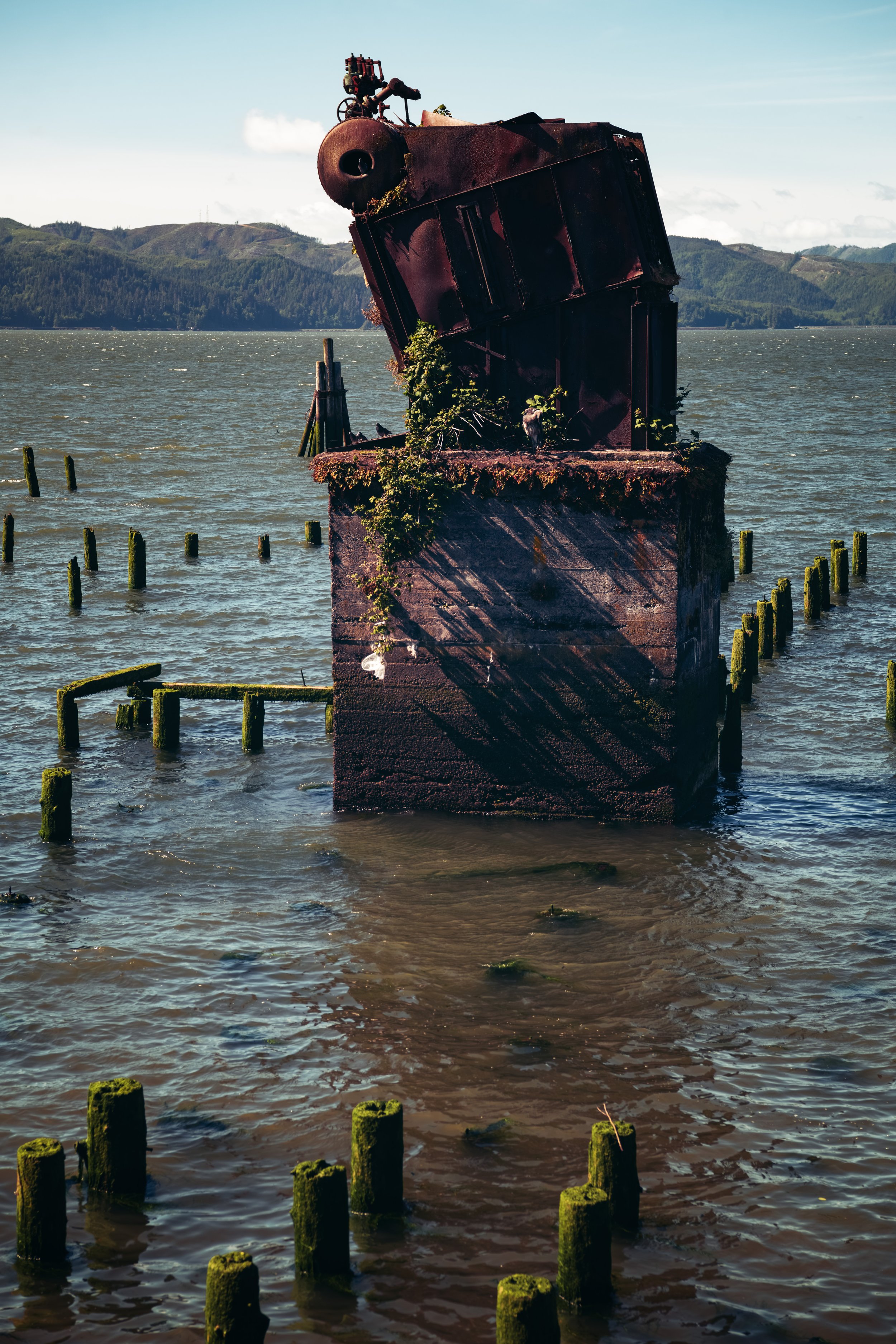 _DSC2181-Enhanced-NR - (EricACS_Pro edit, small) copy.jpg