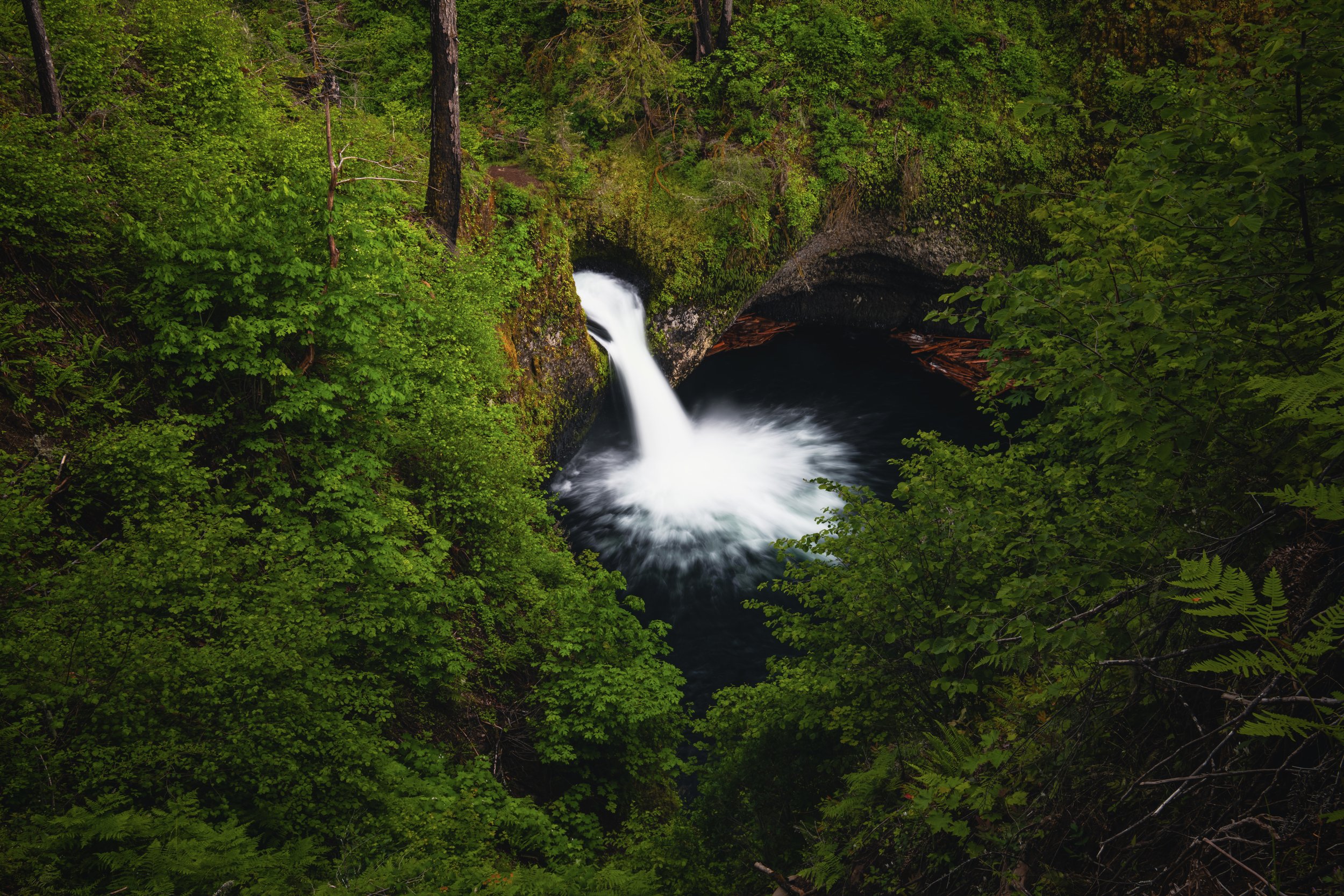 _DSC1705-Enhanced-NR - (EricACS_Pro edit, small) copy.jpg