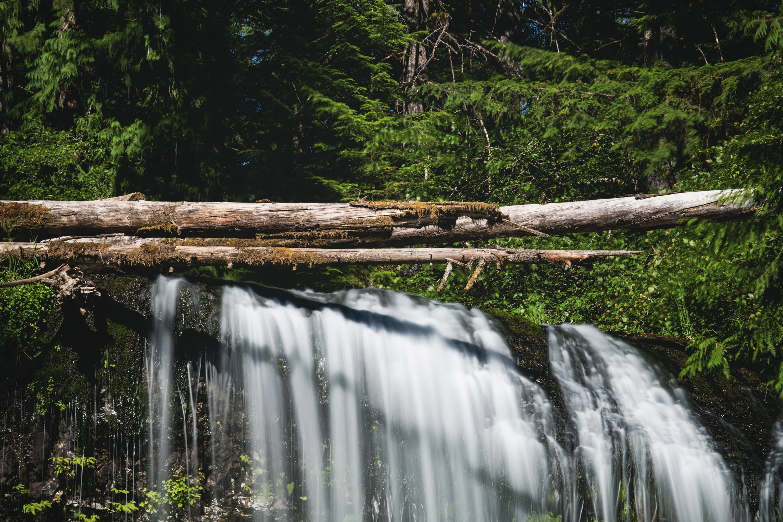 _DSC6096 - (EricACS_Pro edit, small) copy.jpg