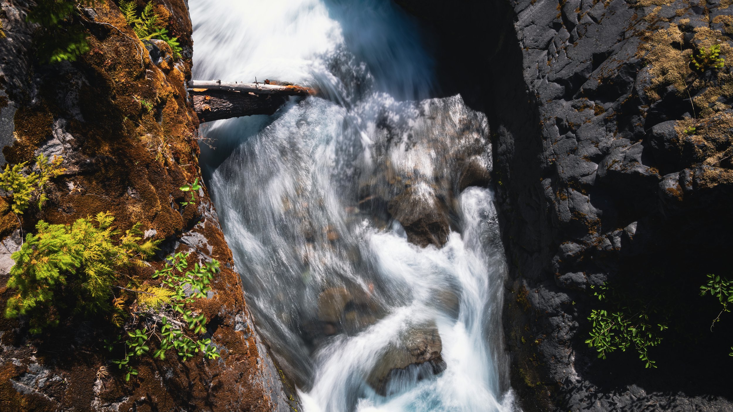 _DSC1451-Enhanced-NR - (EricACS_Pro edit, small) copy.jpg