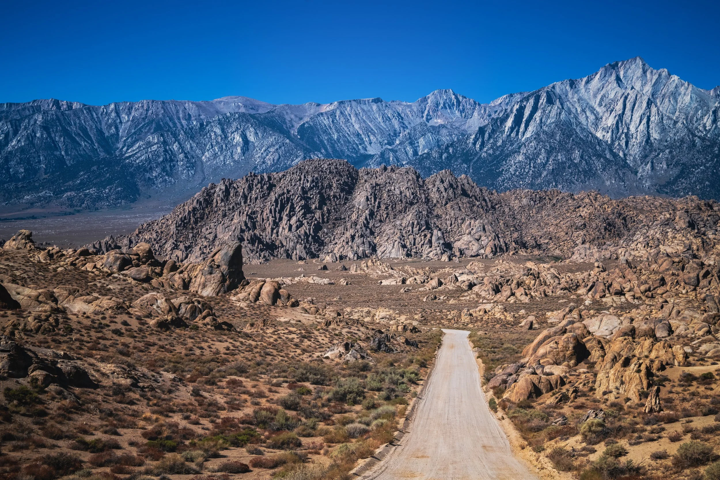 _DSC7939 - (EricACS_Pro edit, small) copy.jpg