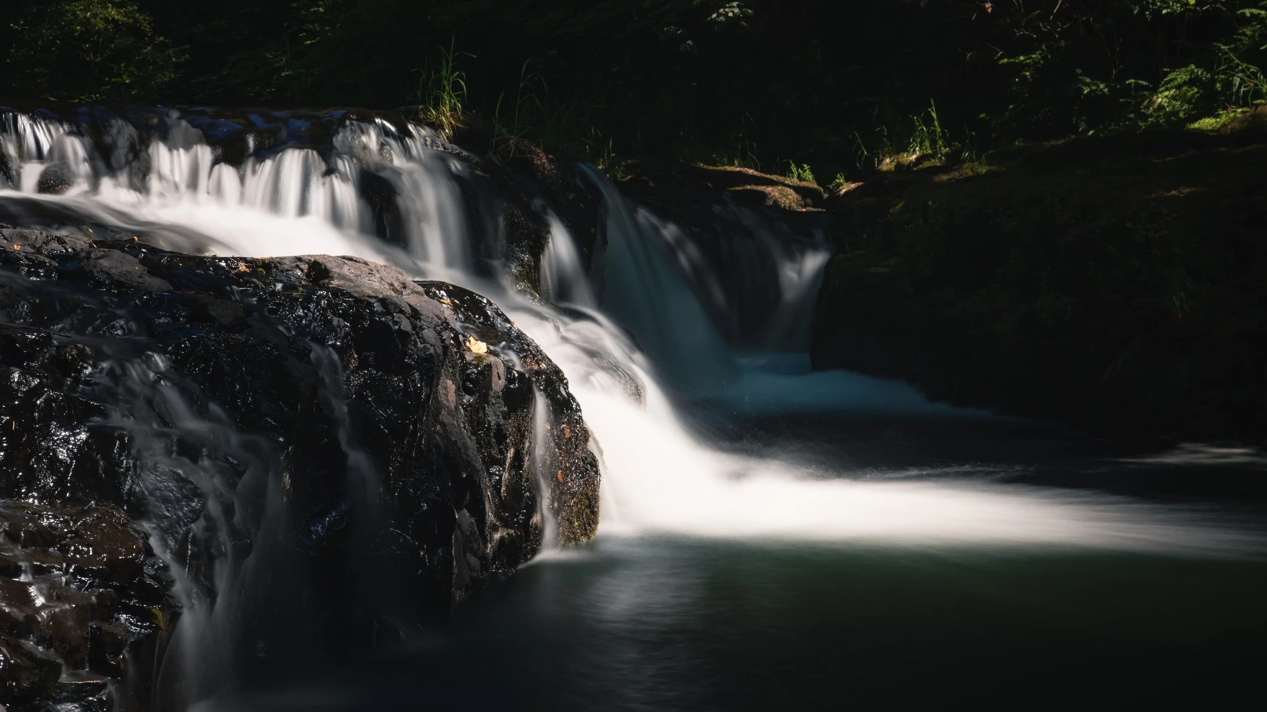 _DSC2771-Enhanced-NR - (EricACS_Pro edit, small) copy.jpg