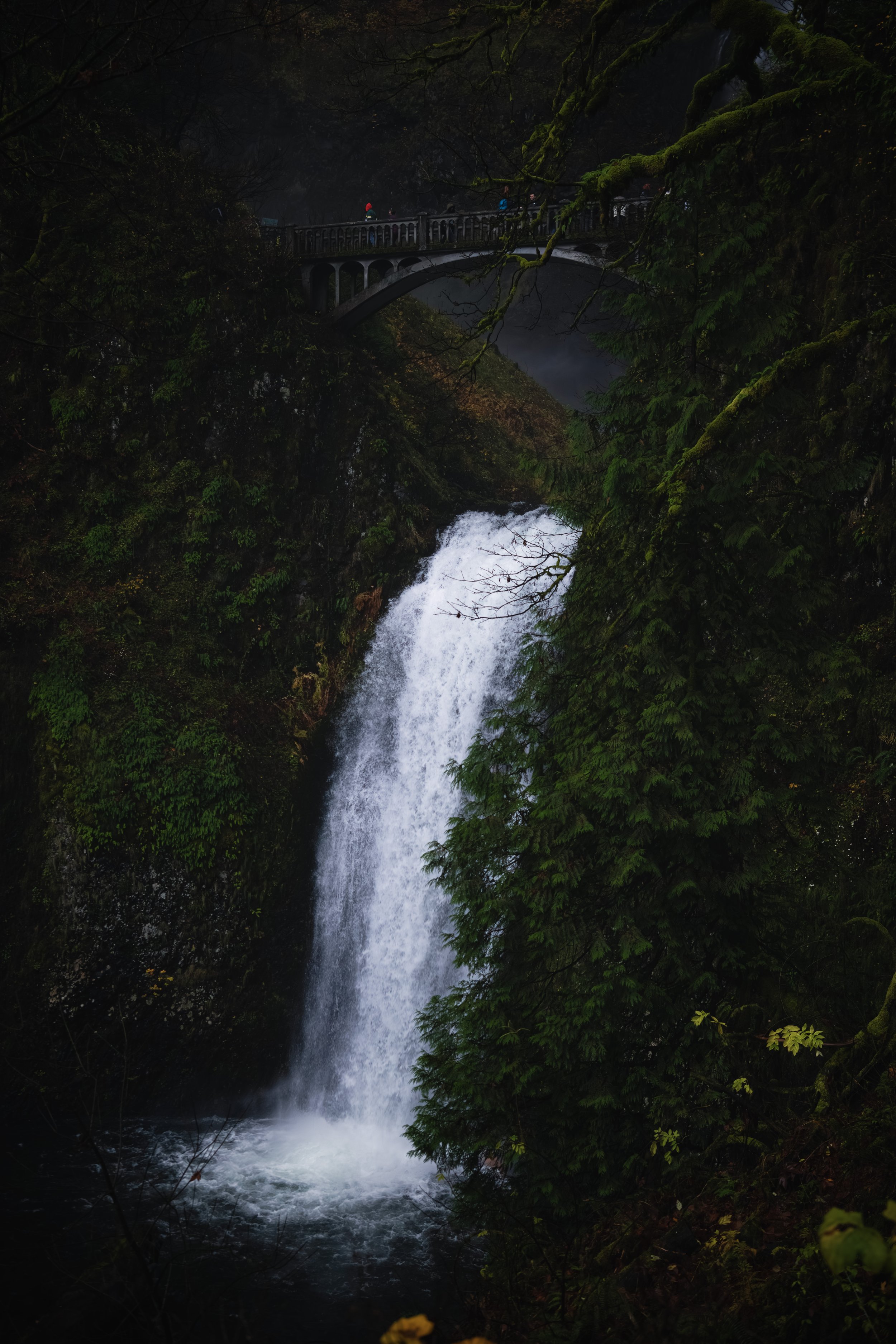 _DSC7691-Enhanced-NR - (EricACS_Pro edit, small) copy.jpg