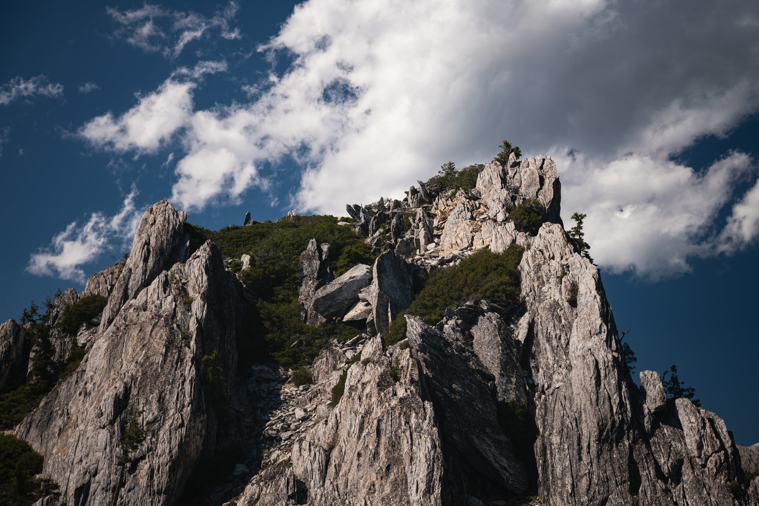 _DSC9776-Enhanced-NR - (EricACS_Pro edit, small) copy.jpg