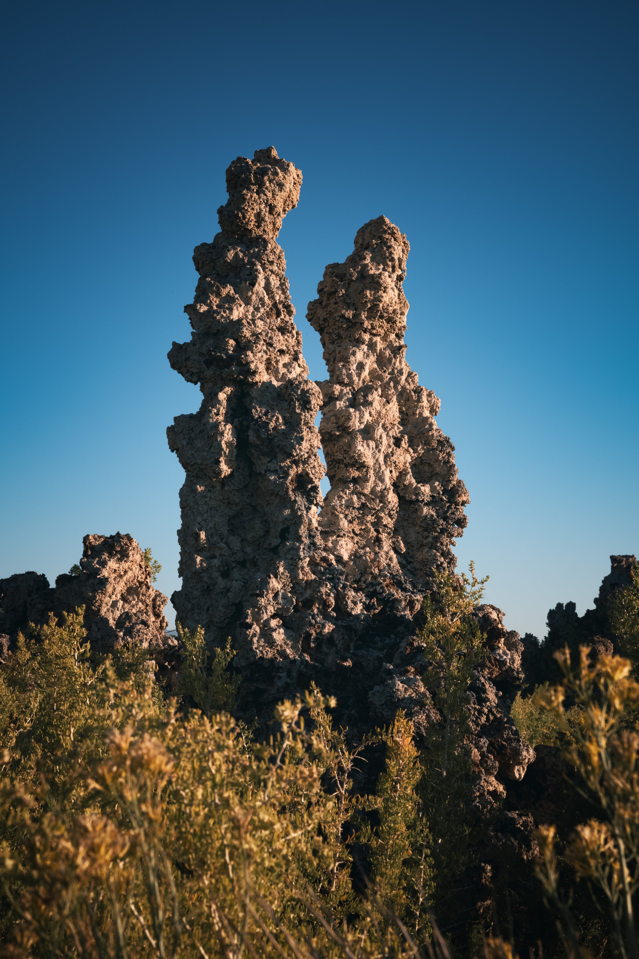 _DSC4691-Enhanced-NR - (EricACS_PRo edit, small) copy.jpg