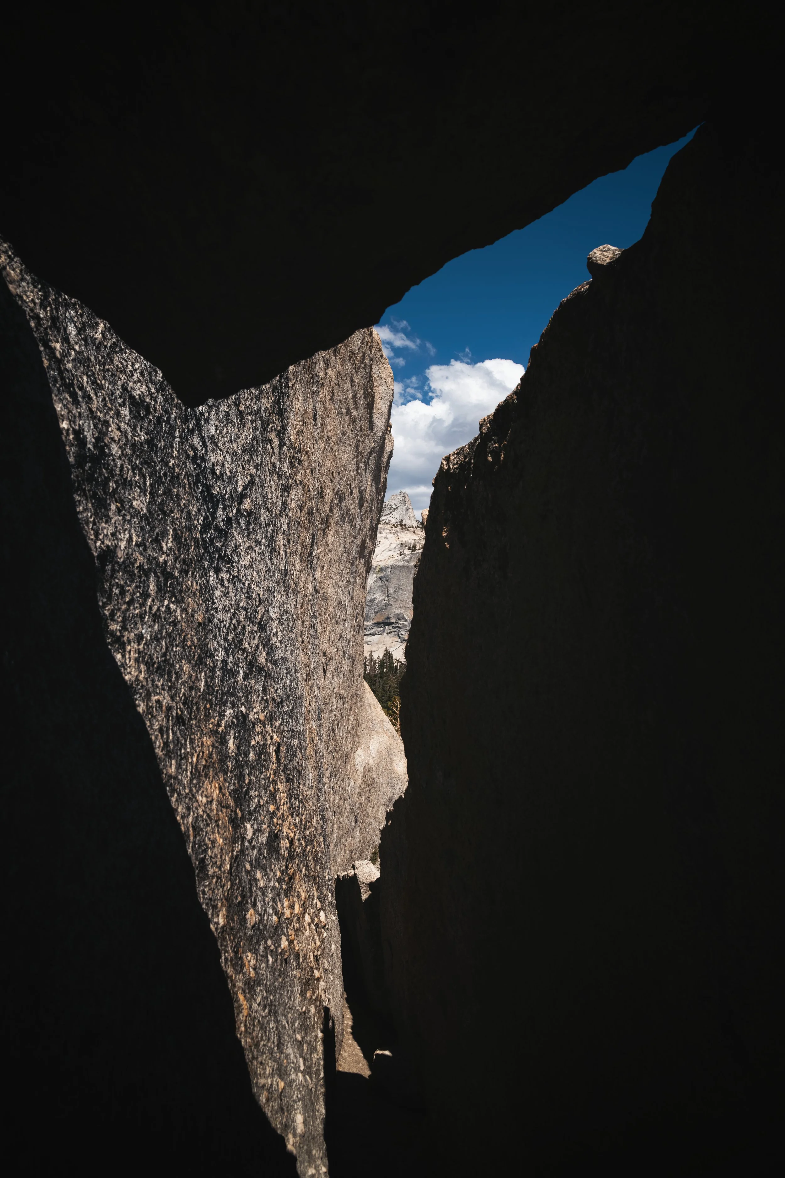 _DSC8791-Enhanced-NR - (EricACS_Pro edit, small) copy.jpg