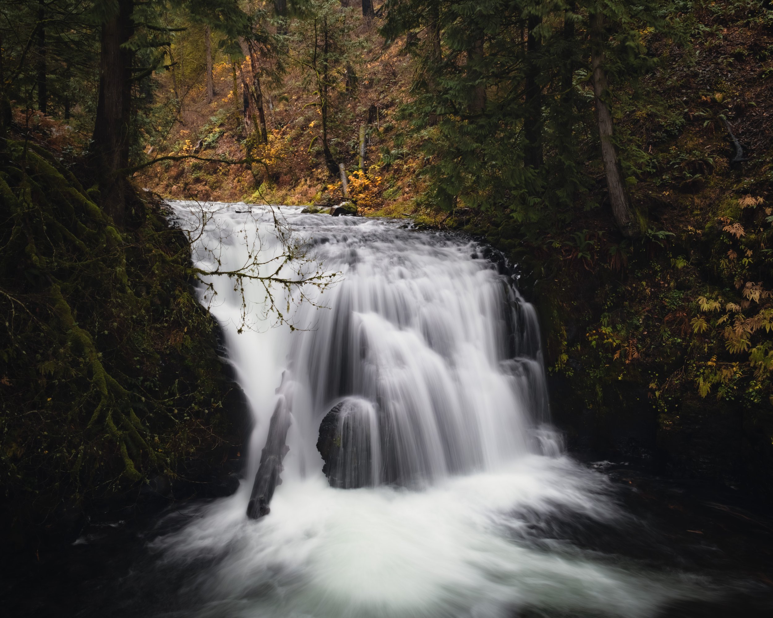_DSC7855-Enhanced-NR - (EricACS_Pro edit, small) copy.jpg