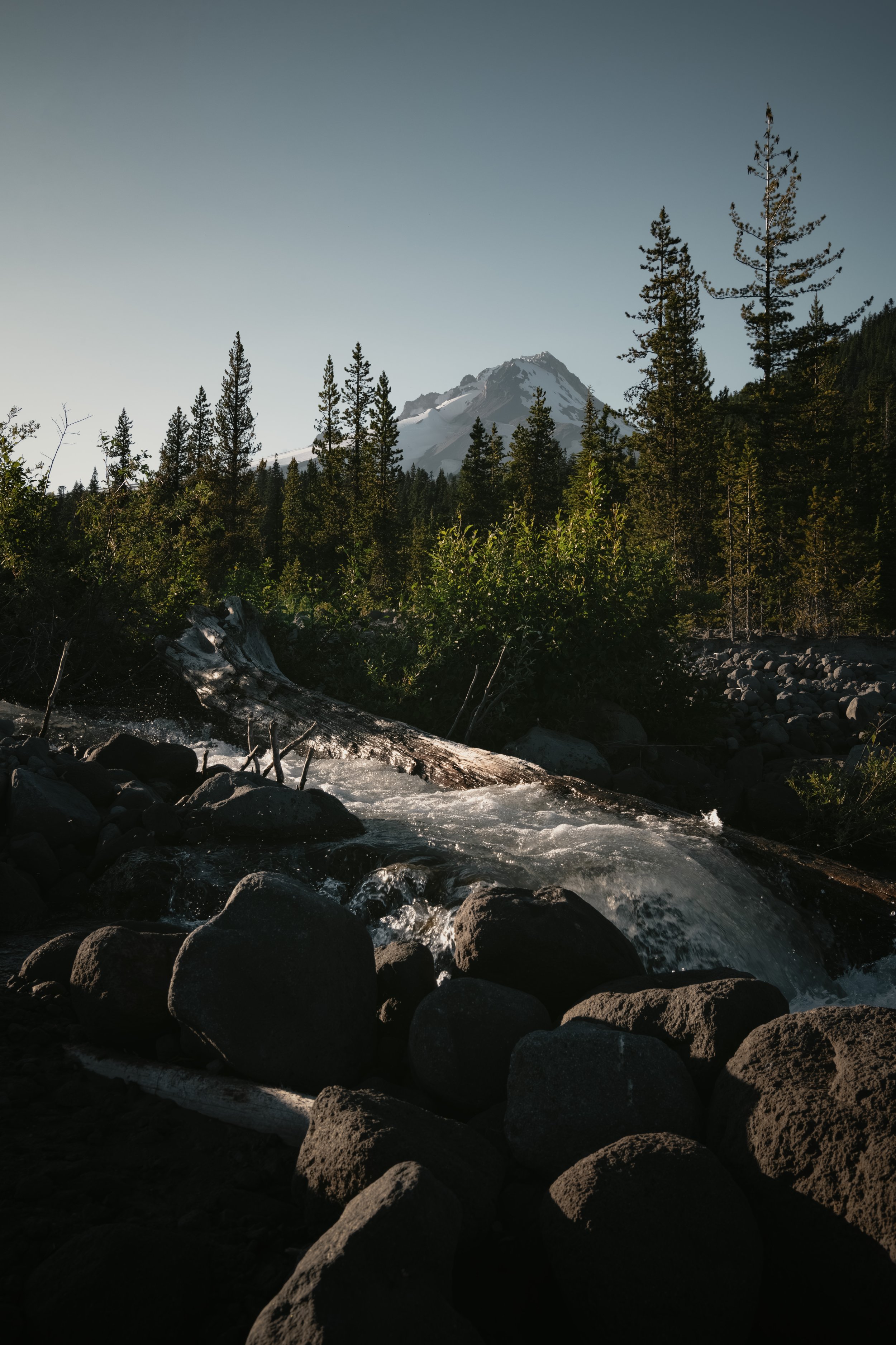 _DSC3458-Enhanced-NR - (EricACS_Pro edit, small) copy.jpg