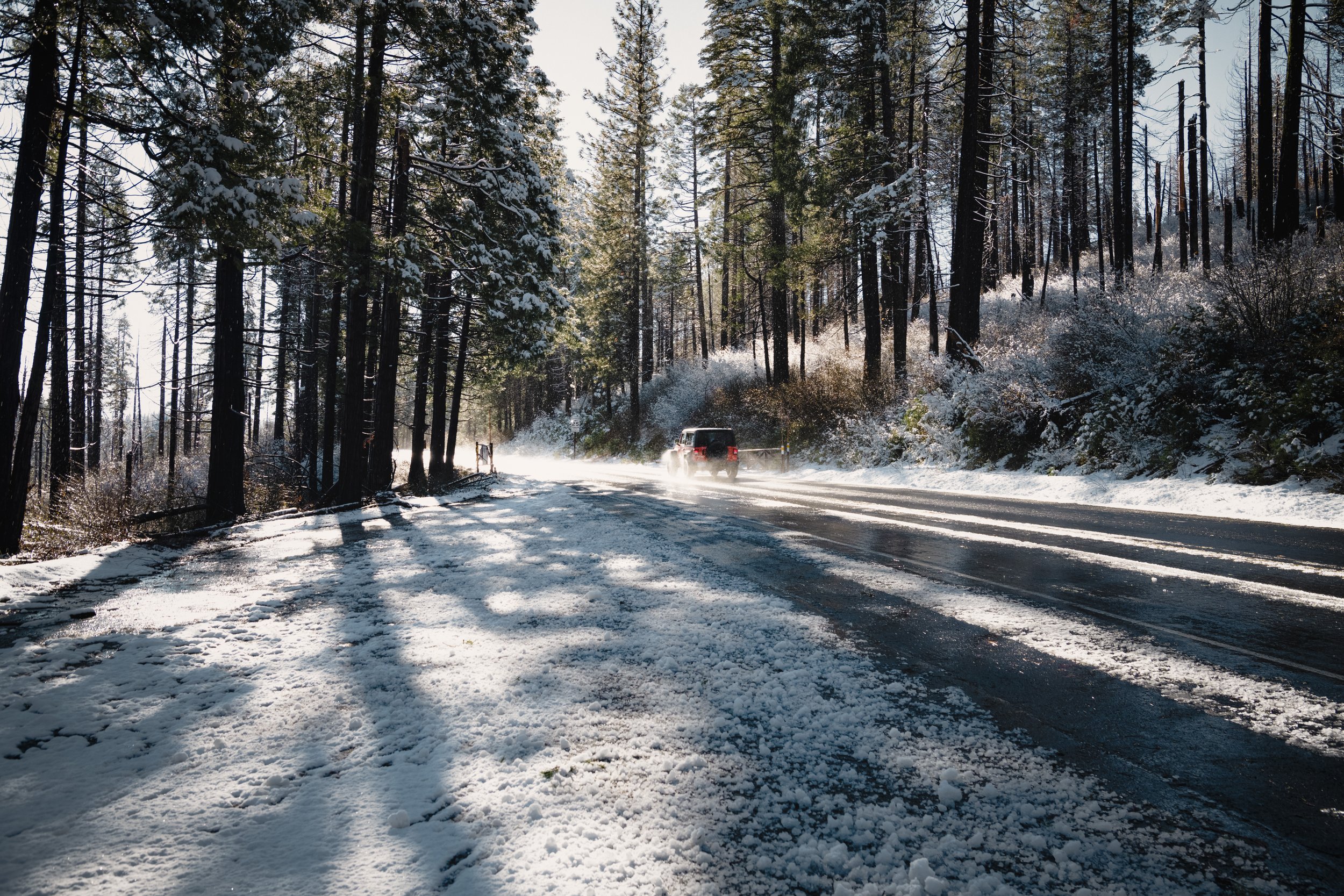 _DSC2863 - (EricACS_Pro edit, small) copy.jpg